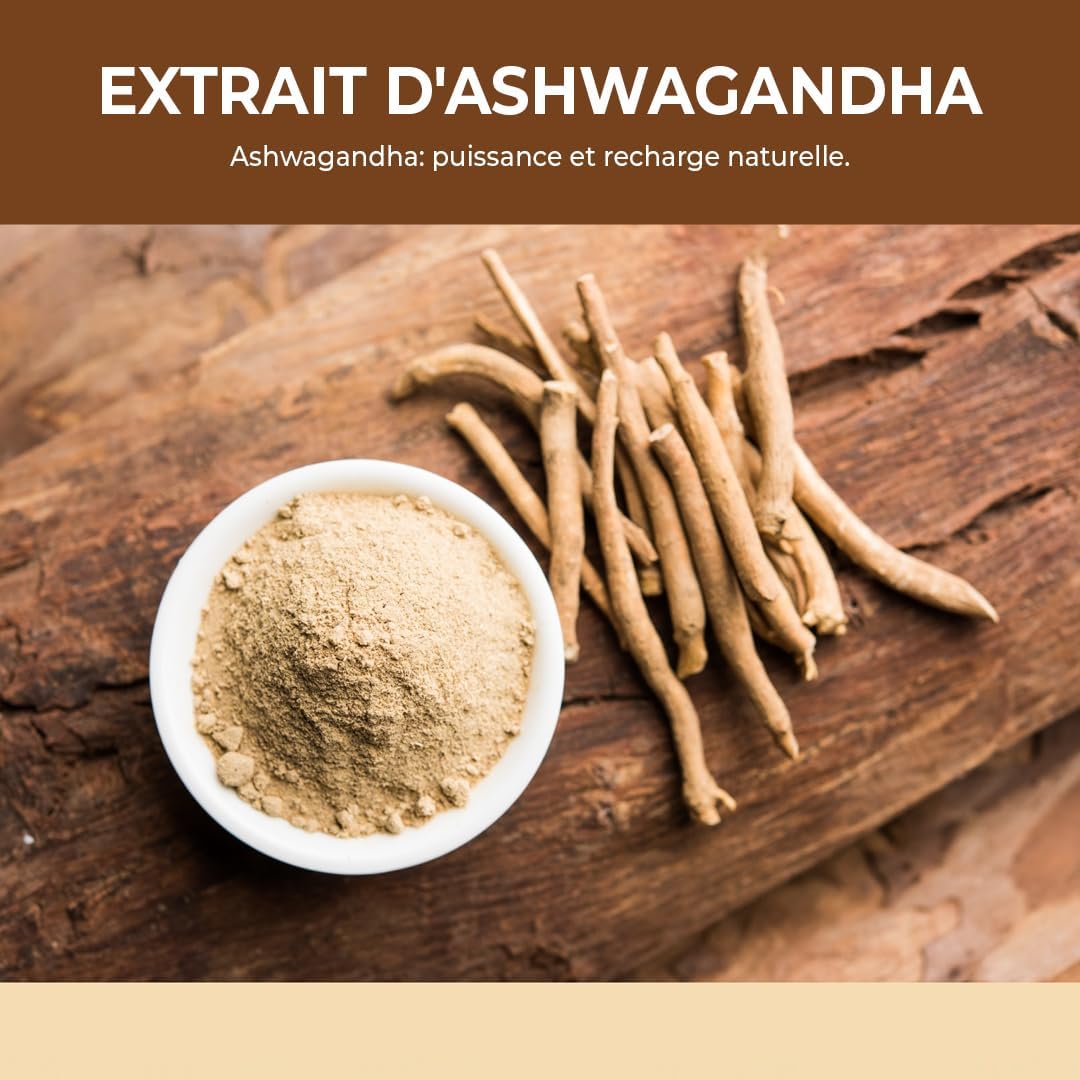 Bandini Ashwagandha Organic KSM-66 Extra Strong - 500mg per Dose, 5% Witanolides - 180 Capsules for 6 Months - Withania Somnifera Powder 100% Vegan - Physical & Mental Wellness, Tonus, Concentration - Image 3