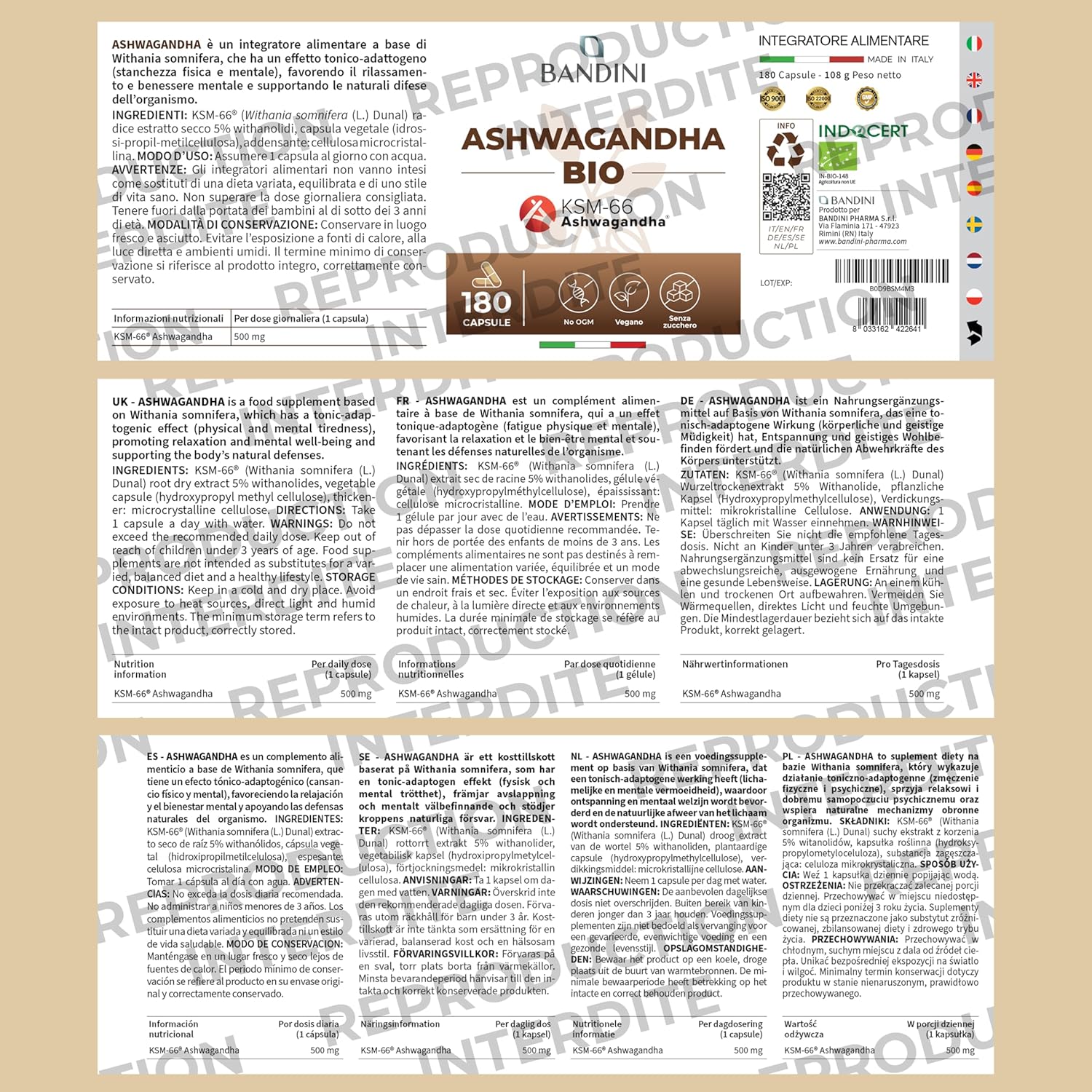 Bandini Ashwagandha Organic KSM-66 Extra Strong - 500mg per Dose, 5% Witanolides - 180 Capsules for 6 Months - Withania Somnifera Powder 100% Vegan - Physical & Mental Wellness, Tonus, Concentration - Image 6