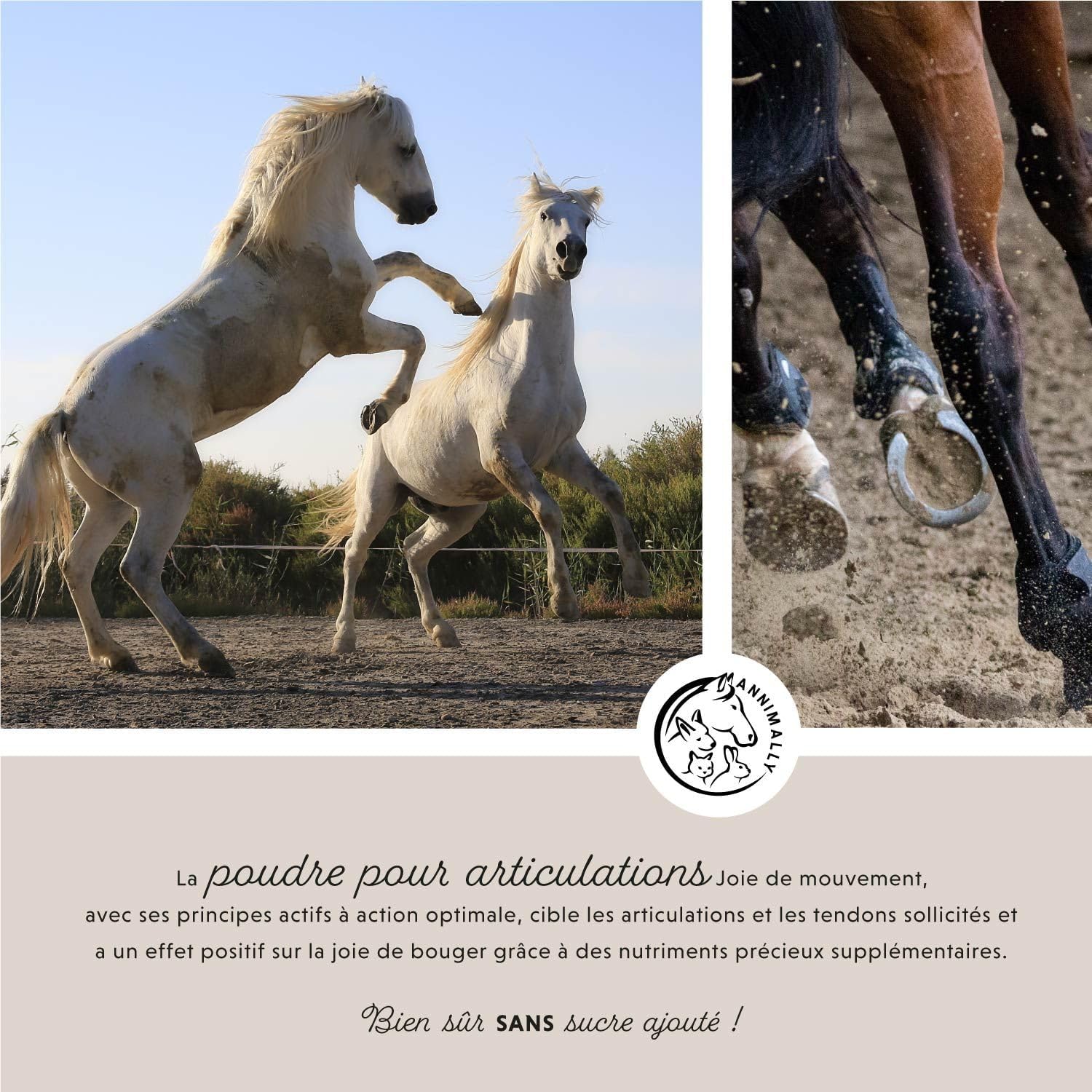 Annimally Horse Joint Supplement 850 g - with Devil's Claw, MSM Horse (Sulfur), Glucosamine Horse, Hyaluronic Acid, Chondroitin - Nutritional Supplement Horses - Image 4