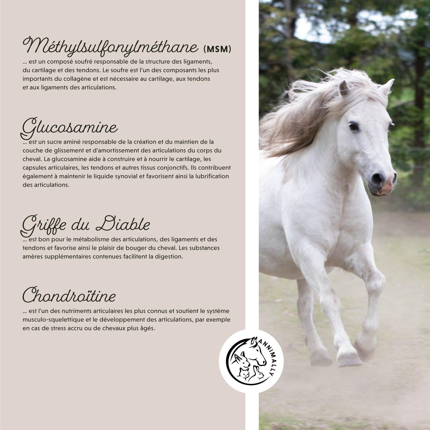 Annimally Horse Joint Supplement 850 g - with Devil's Claw, MSM Horse (Sulfur), Glucosamine Horse, Hyaluronic Acid, Chondroitin - Nutritional Supplement Horses - Image 5