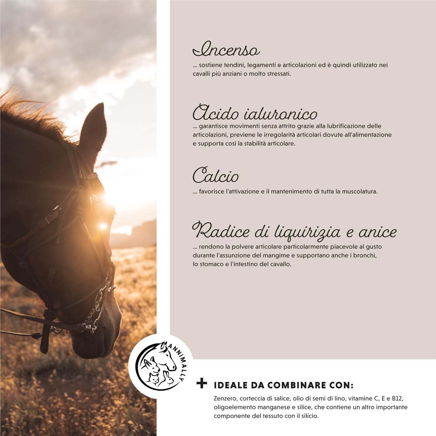 Annimally Horse Joint Supplement 850 g - with Devil's Claw, MSM Horse (Sulfur), Glucosamine Horse, Hyaluronic Acid, Chondroitin - Nutritional Supplement Horses - Image 7