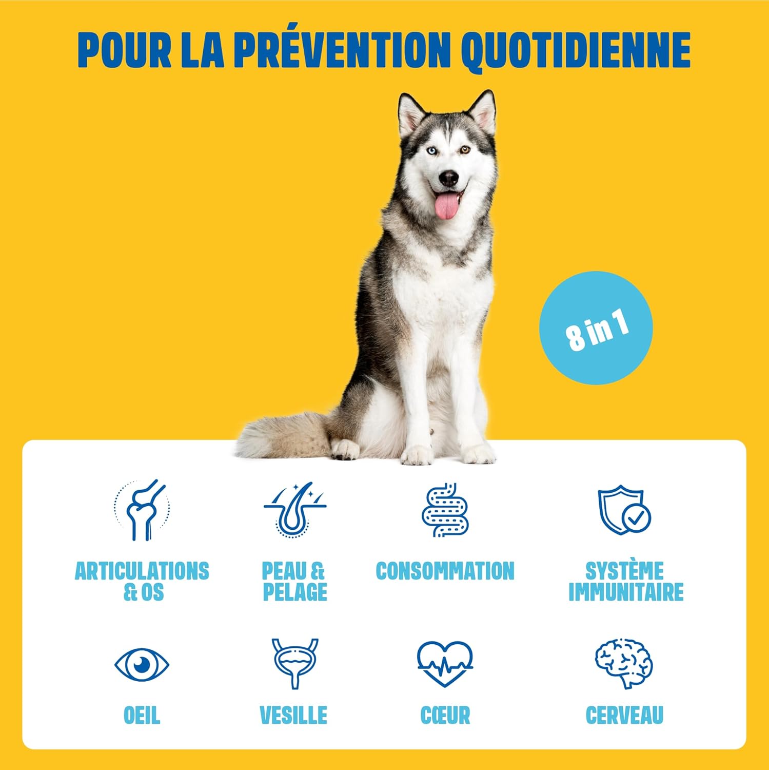 ivvi Multivitamins - Dog Food Supplement - Complete Care for a Happy Dog Life - 60 Delicious Chicken Treats (270g) - Image 4