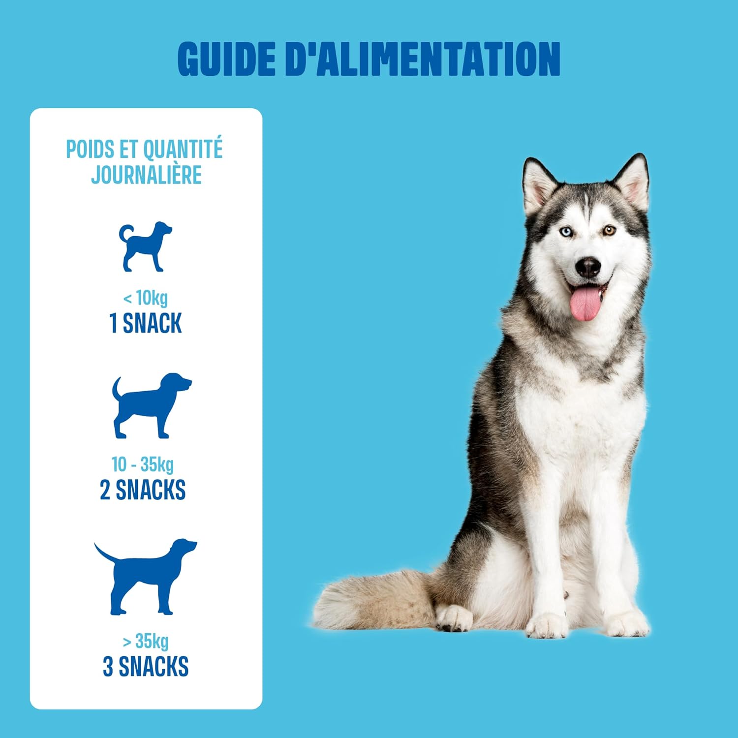 ivvi Multivitamins - Dog Food Supplement - Complete Care for a Happy Dog Life - 60 Delicious Chicken Treats (270g) - Image 7