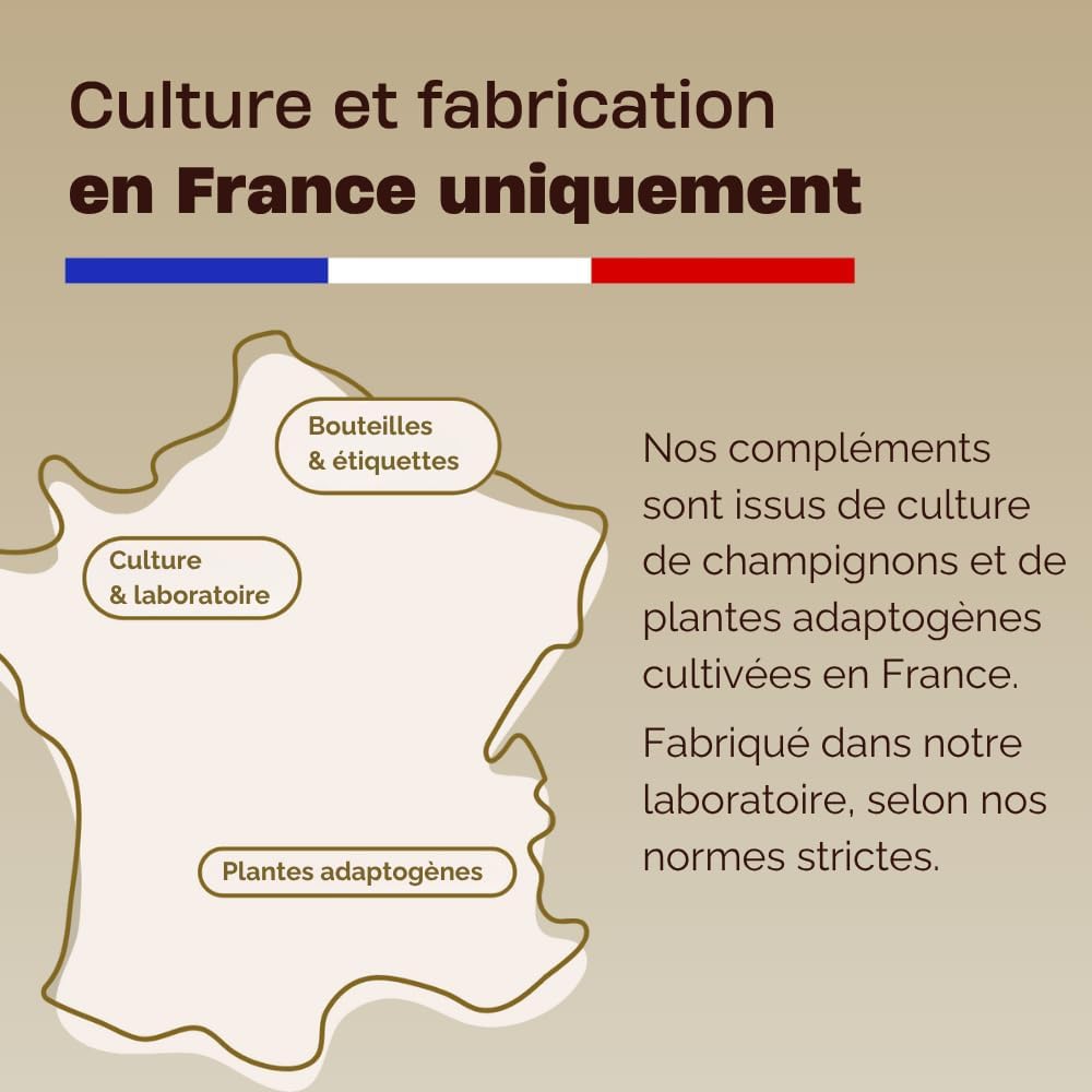 30 Day Concentration Treatment Adaptogens Mushrooms - Lion's Mane, Bacopa & Vitamins B6 B9 - Develops Focus, Memory and Mental Clarity - Ultra Effective Organic Liquid Formula - Image 9