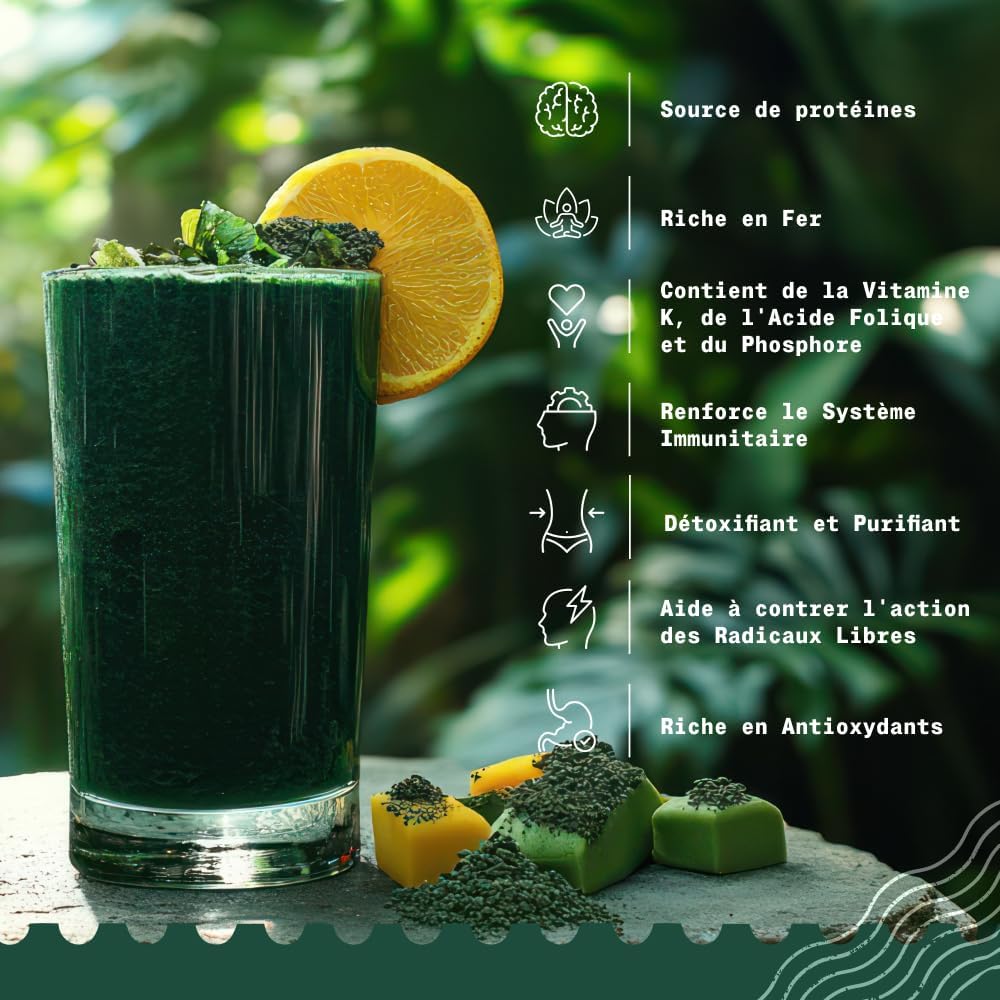 NaturaleBio Organic Spirulina Algae Powder 100 g. Natural and Pure, Grown in tropical regions. Ideal in drinks and smoothies or recipes. Suitable for vegetarian and vegan diets. - Image 4