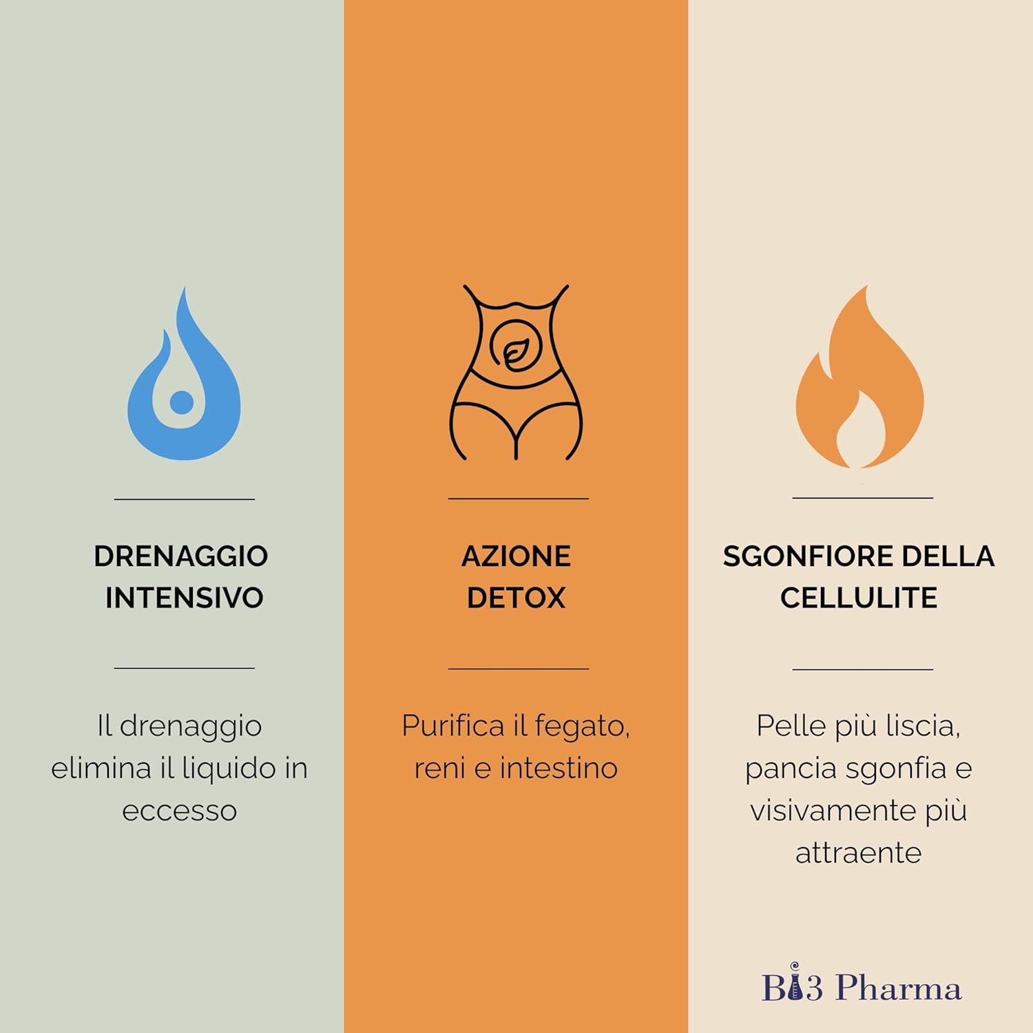 Edren Detox Draining Strong Slimming | Helps Contraster Retention and Swelling | Bromelain Strong Drain Promotes Lightness and Fluid Drainage | Liver and Kidney Detox Support | Citrus Taste - Image 7