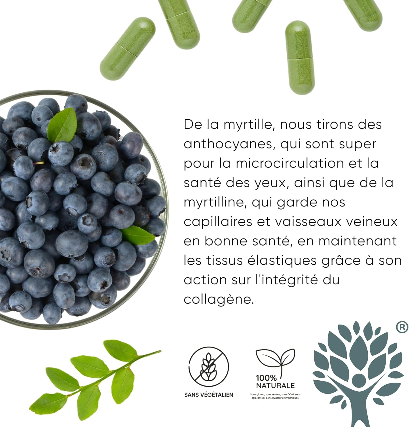 RedMoringa - Anti Heavy Legs & Blood Circulation Supplement - with Moringa and Black Blueberry - Light Legs, Natural Drainage - 100% Natural - 60 Vegetable Capsules - Image 10