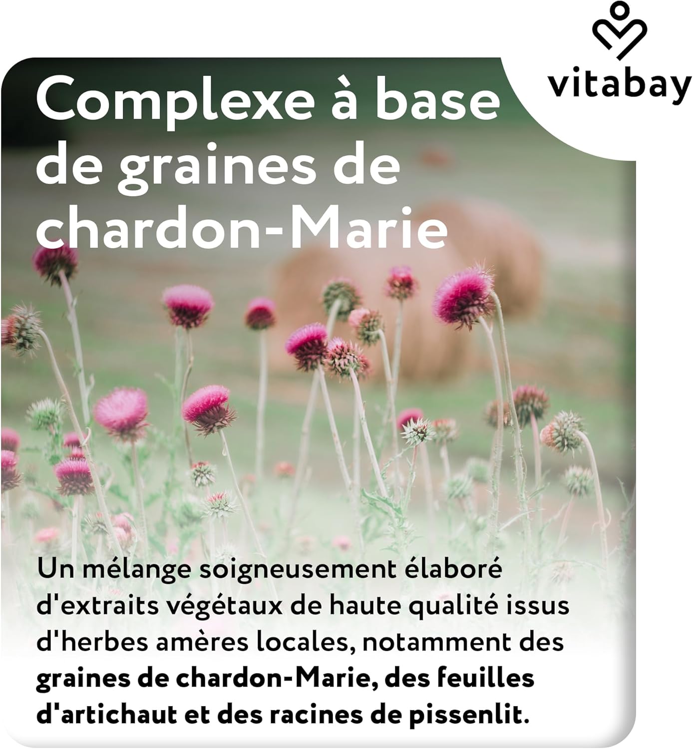Vitabay Milk Thistle 250 mg - 90 Capsules with Dandelion (50 mg), Artichoke (200 mg) and Silymarin (200 mg) - Vegan and High Dosage - Laboratory Verified Milk Thistle Extract - Image 6