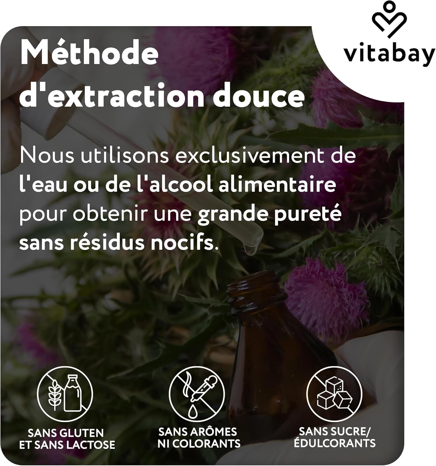 Vitabay Milk Thistle 250 mg - 90 Capsules with Dandelion (50 mg), Artichoke (200 mg) and Silymarin (200 mg) - Vegan and High Dosage - Laboratory Verified Milk Thistle Extract - Image 8
