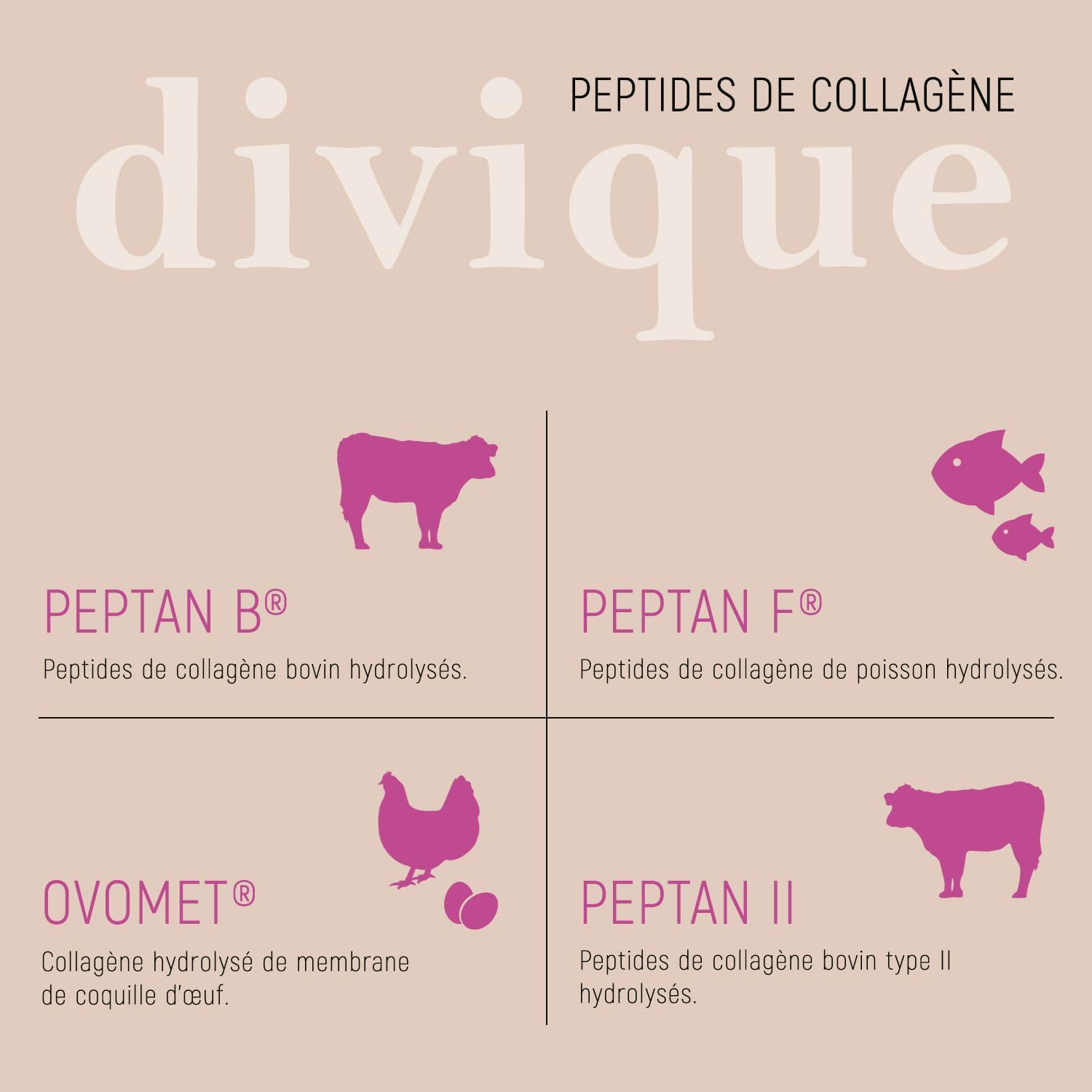 Collagen and Hyaluronic Acid 270 Capsules - Multicollagen Type 1, 2, 3, 5, 10 - with Hyaluronic Acid, Vitamin C, Biotin and Selenium Zinc - Image 4