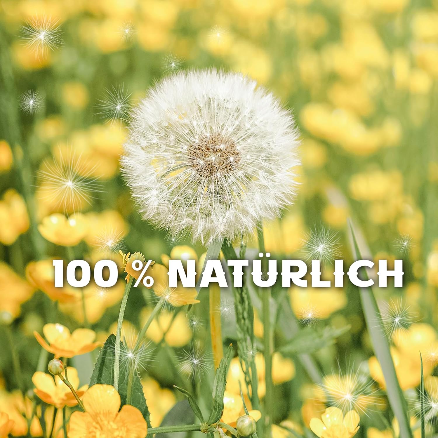 Dandelion in Glass - Special Gift Idea, Birthday Gift for Women, Good Luck and Small Gift for Girlfriend, Decorative Gift in Glass, Floral Gift - Image 3