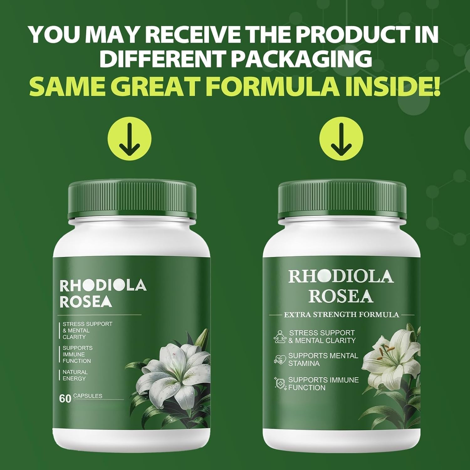 Rhodiola Rosea -Soutien énergétique et quotidien contre le stress, équilibre énergétique, fonction immunitaire, sans OGM - Image 3