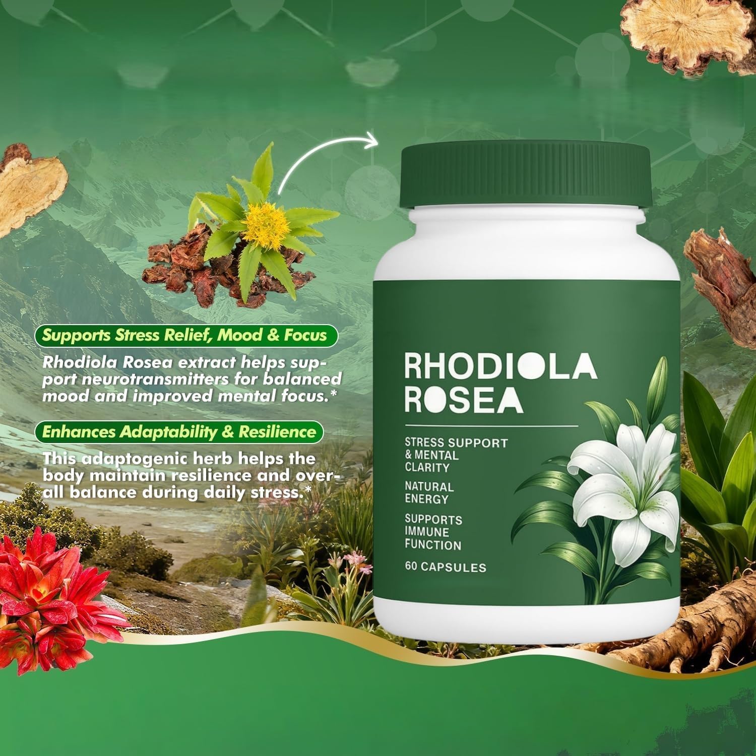 Rhodiola Rosea -Soutien énergétique et quotidien contre le stress, équilibre énergétique, fonction immunitaire, sans OGM - Image 6