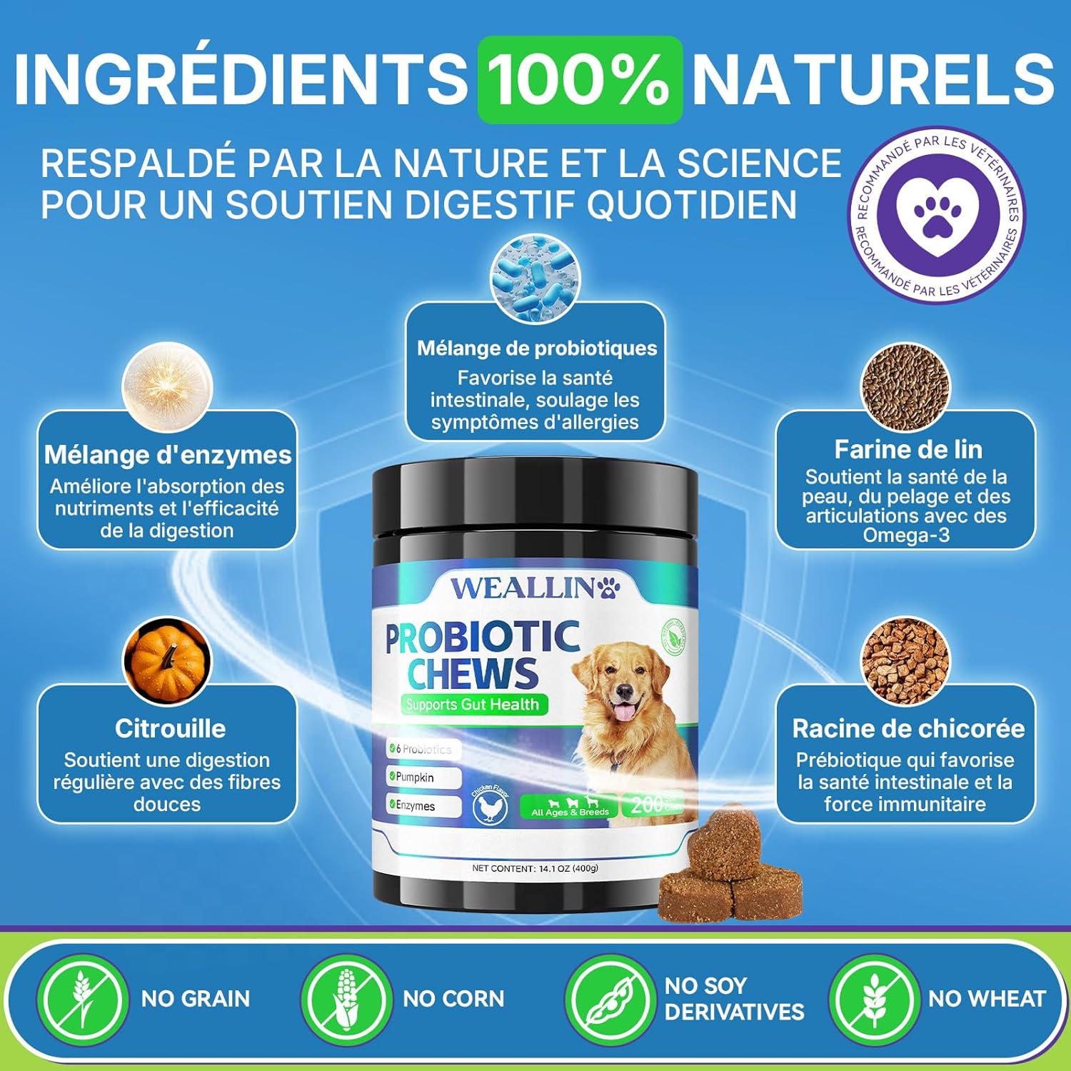 Probiotics for Dogs, Prebiotics for Gut Health – Supports Digestive Health and Nutrient Absorption – 200 Fluffy Bites That Support Skin Health - Image 4
