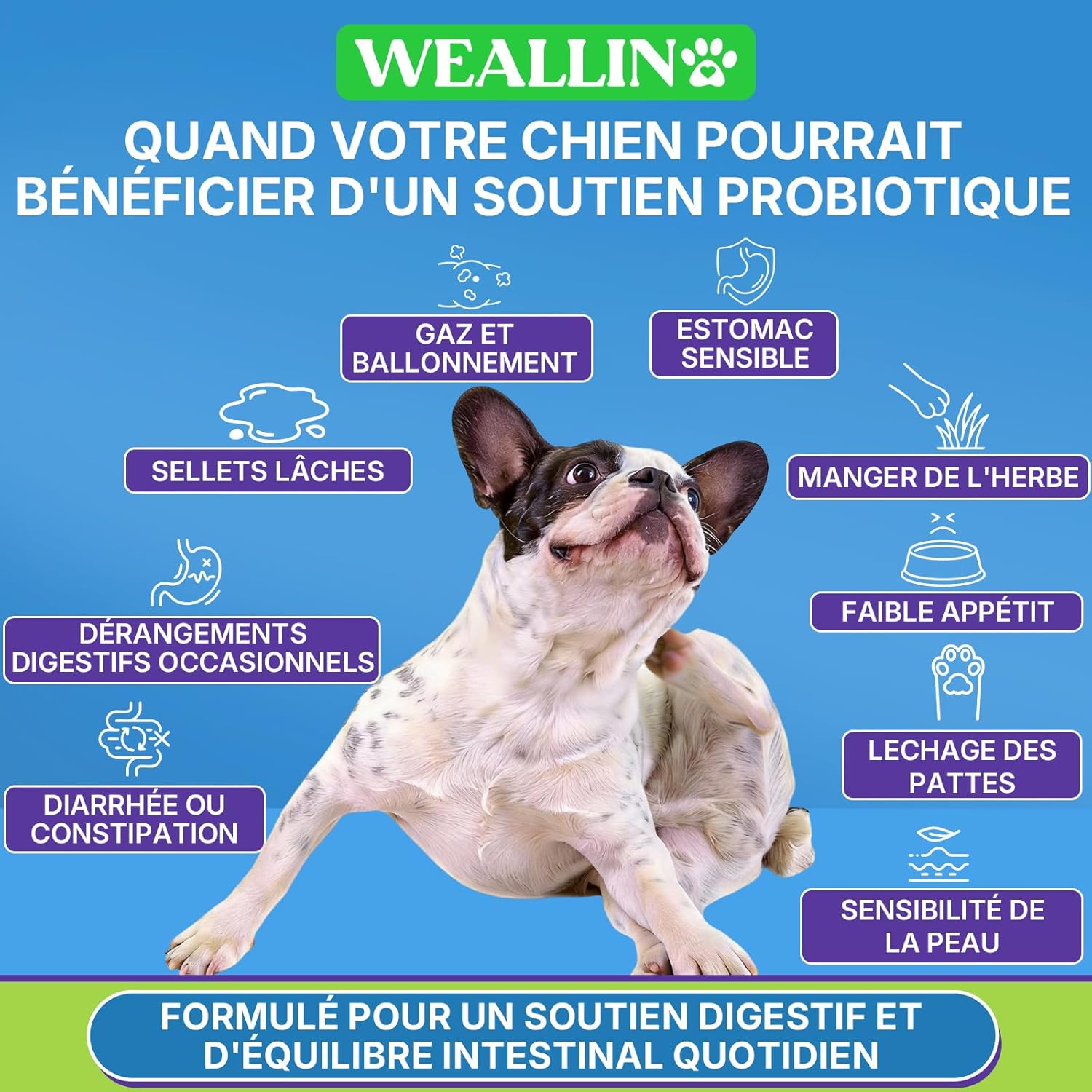 Probiotics for Dogs, Prebiotics for Gut Health – Supports Digestive Health and Nutrient Absorption – 200 Fluffy Bites That Support Skin Health - Image 6