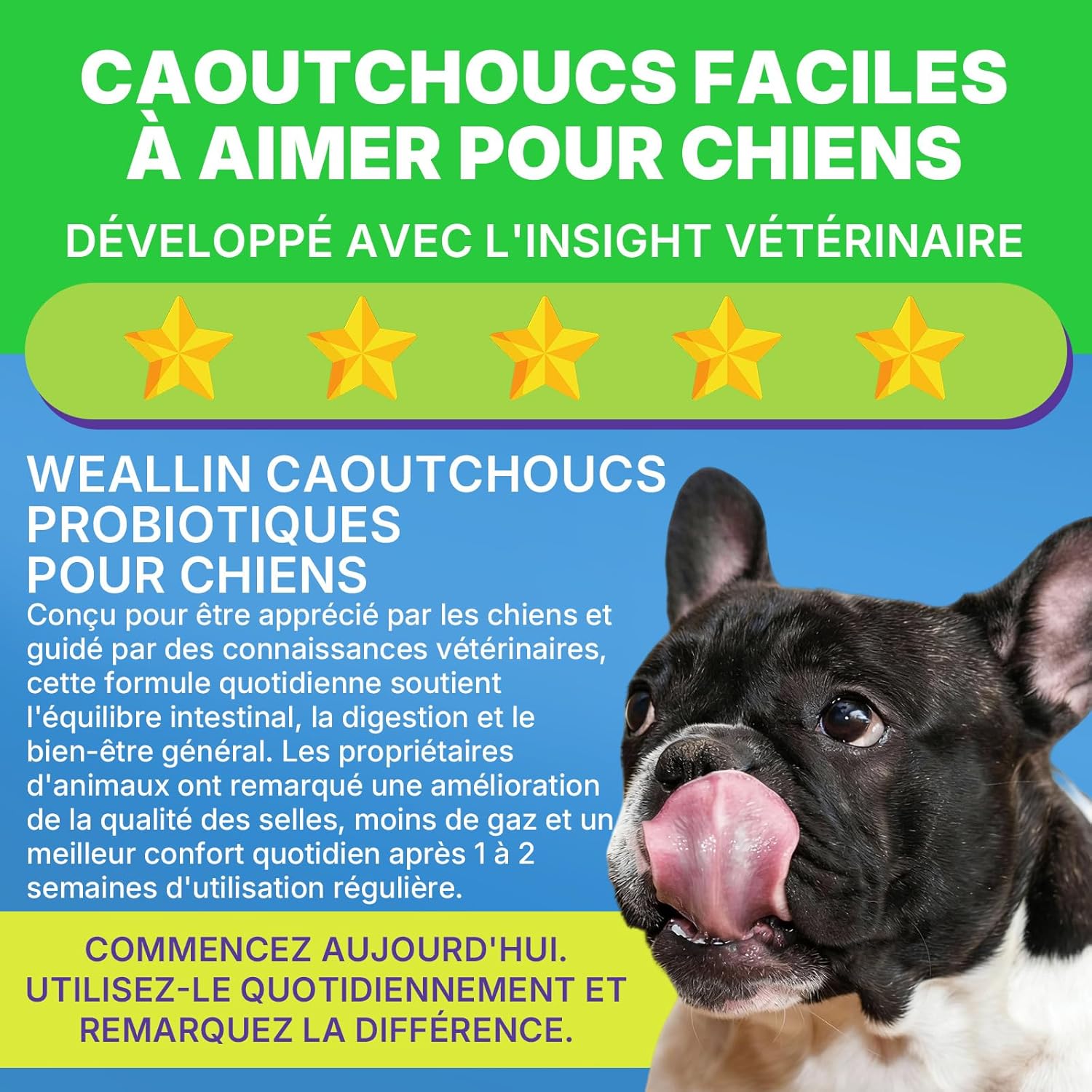 Probiotics for Dogs, Prebiotics for Gut Health – Supports Digestive Health and Nutrient Absorption – 200 Fluffy Bites That Support Skin Health - Image 10