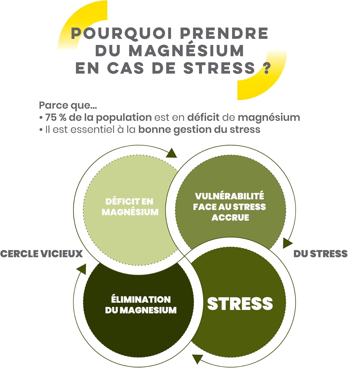 D-STRESS SYNERGIA SYNERGIA COMPREMÉS 3 + 1 FREE SYNERGIA PRODUCT | 3rd Generation Magnesium + Taurine + Arginine + B Vitamins | Manages Daily Stress and Reduces Fatigue | LABORATOIRE SYNERGIA - Image 6