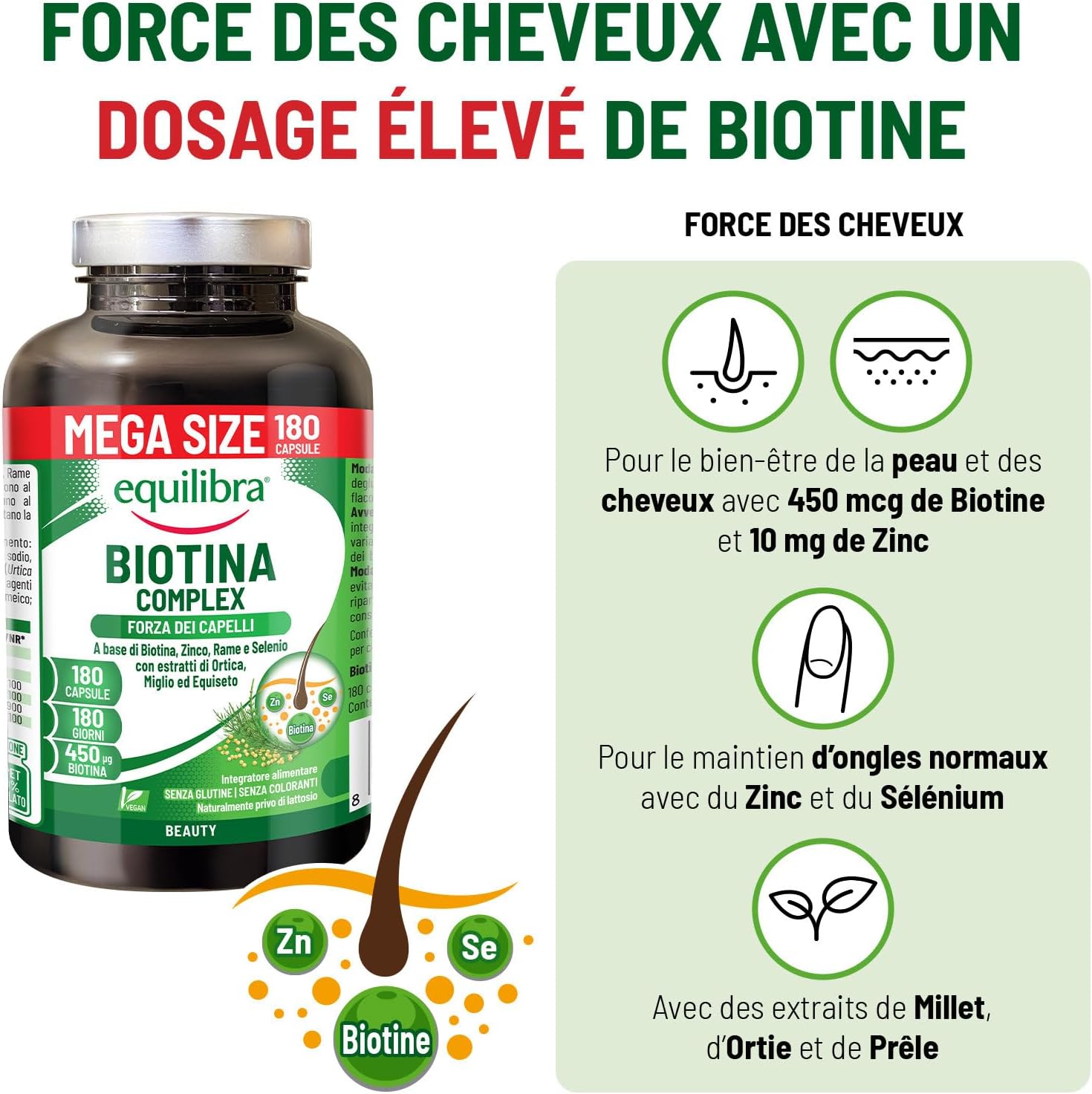 Equilibra Biotin High Dosed 450 mcg, for Hair and Nails, with Zinc, Copper, Selenium, Nettle, Millet and Horsetail Extracts, Vegan, Gluten Free, Lactose Free, 180 Capsules - Image 3