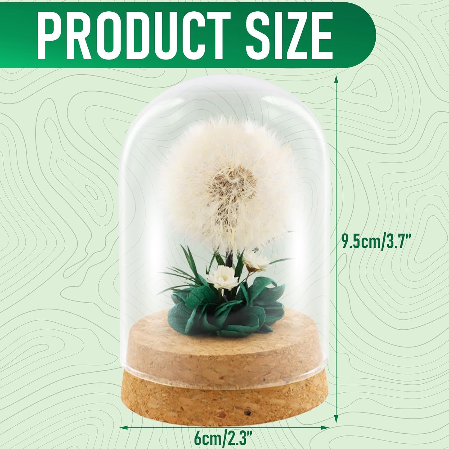 Dandelion in a Jar – True Dandelion, Preserved for Life, Handmade – Gift Idea for Women, Friend – Gift for Birthday, Wedding, Christmas, Glass Decoration, Lucky Charm - Image 2