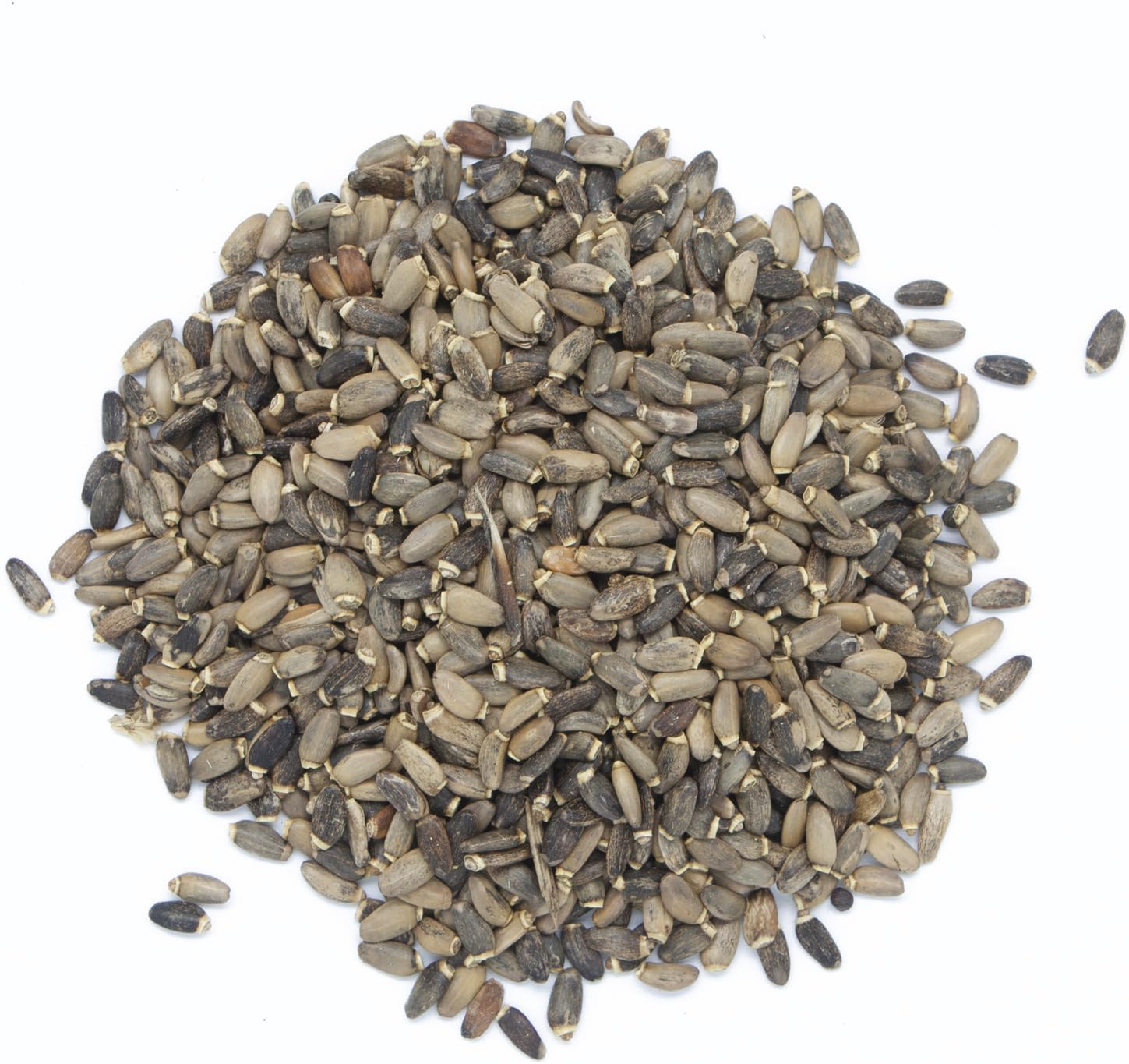 Milk Thistle Seeds - Bag of 1 kg - Image 2