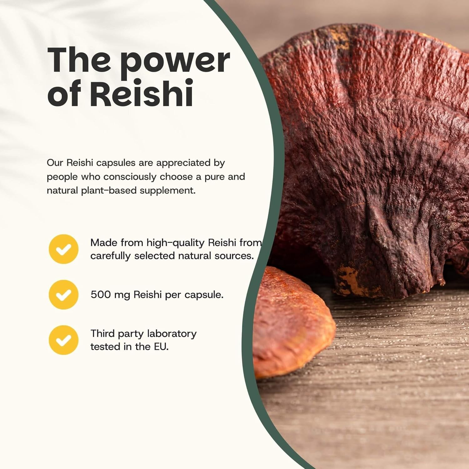 Reishi Capsules 60 units – Organic – 500 mg per capsule – No powder or extract – Mushroom - Image 4