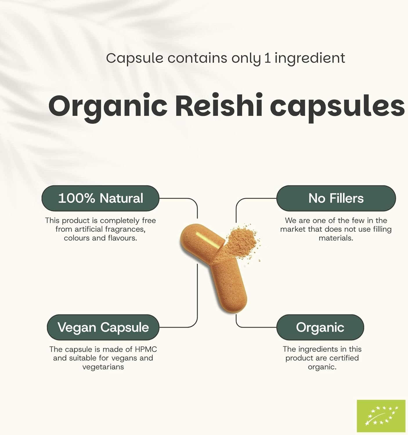 Reishi Capsules 60 units – Organic – 500 mg per capsule – No powder or extract – Mushroom - Image 5