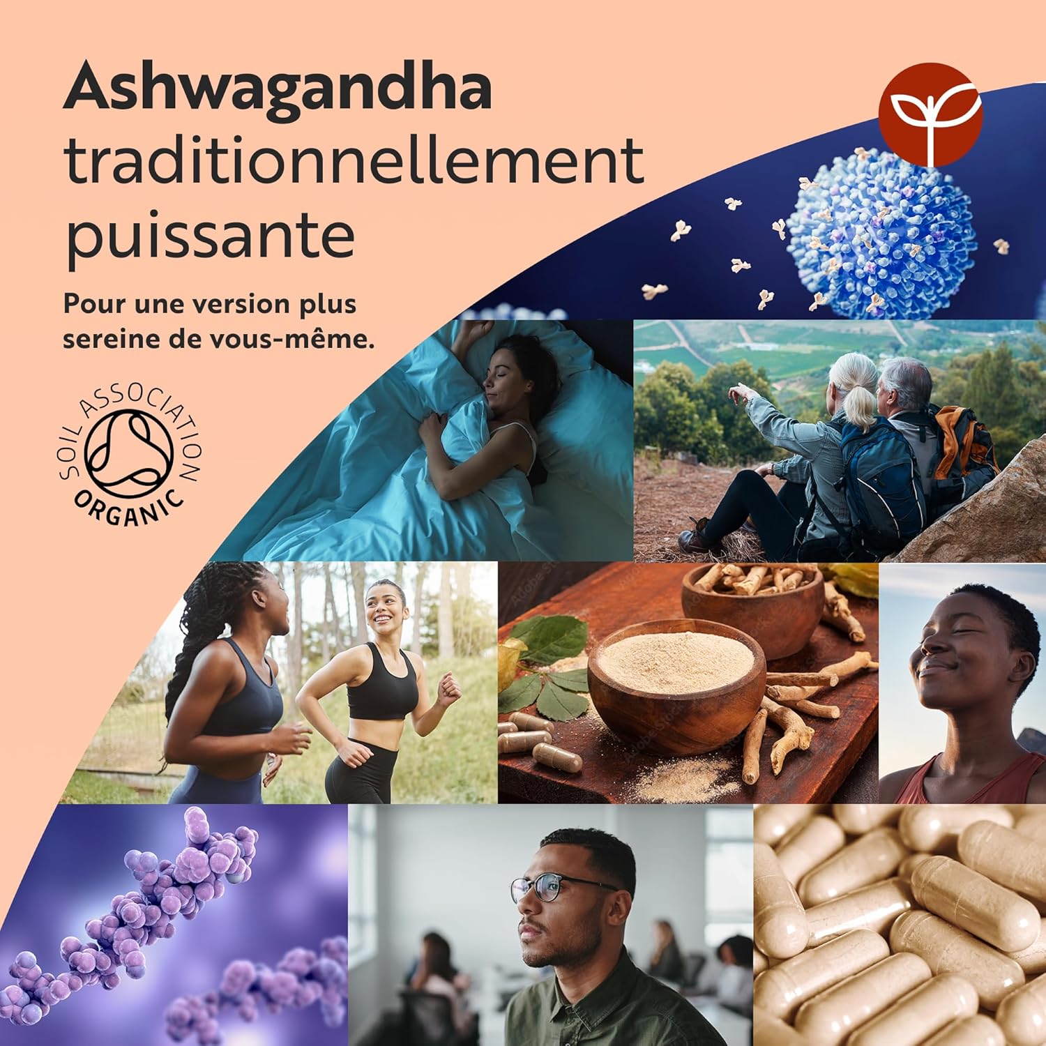 Nutravita Ashwagandha Bio KSM-66® 500mg - 60 Vegan Capsules - Full Spectrum Root Extract - High Quality - Naturally Present Withanolides - Certified Organic Ashwagandha Supplement - Image 4