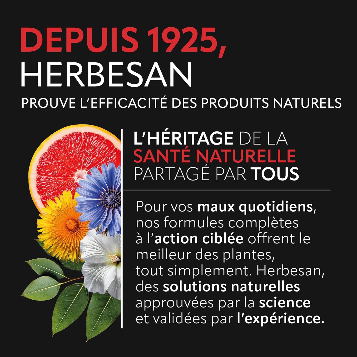 HERBESAN - BOOST COMPLEX - 3 ACTIVES including caffeine - Boost effect - Red fruit taste - Made in France - 30 chewable tablets - Image 6