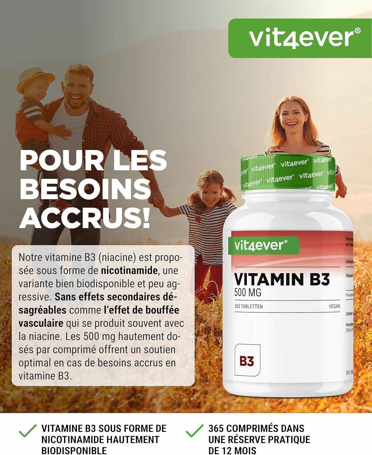 vit4ever Vitamin B3 (Niacin) - 500 mg - 365 Tablets - High Dose Nicotinamide - Flushfree - No Additives - Vegan - Image 3