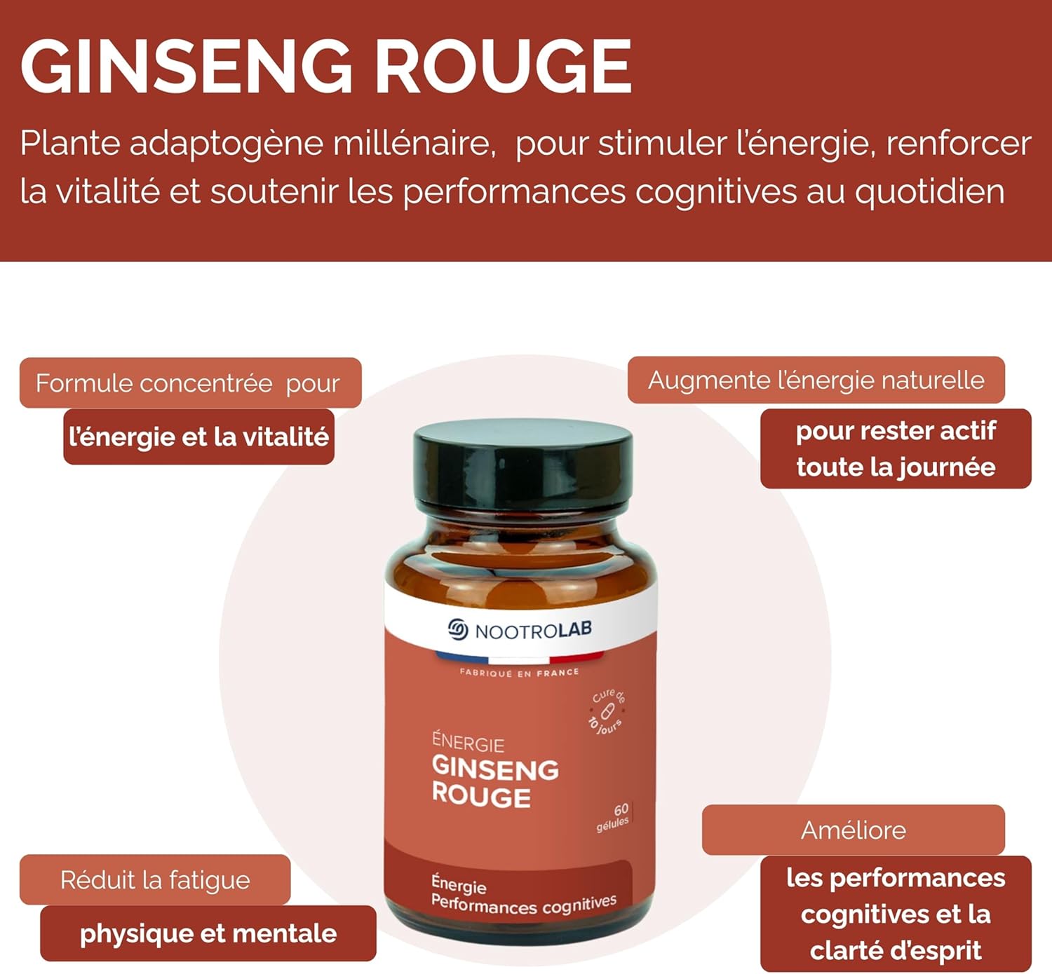 Red Ginseng – Vitality, Energy & Endurance – Adaptogenic Plant – Panax Ginseng Root - 60 Vegetable Capsules – Nootrolab - Image 3