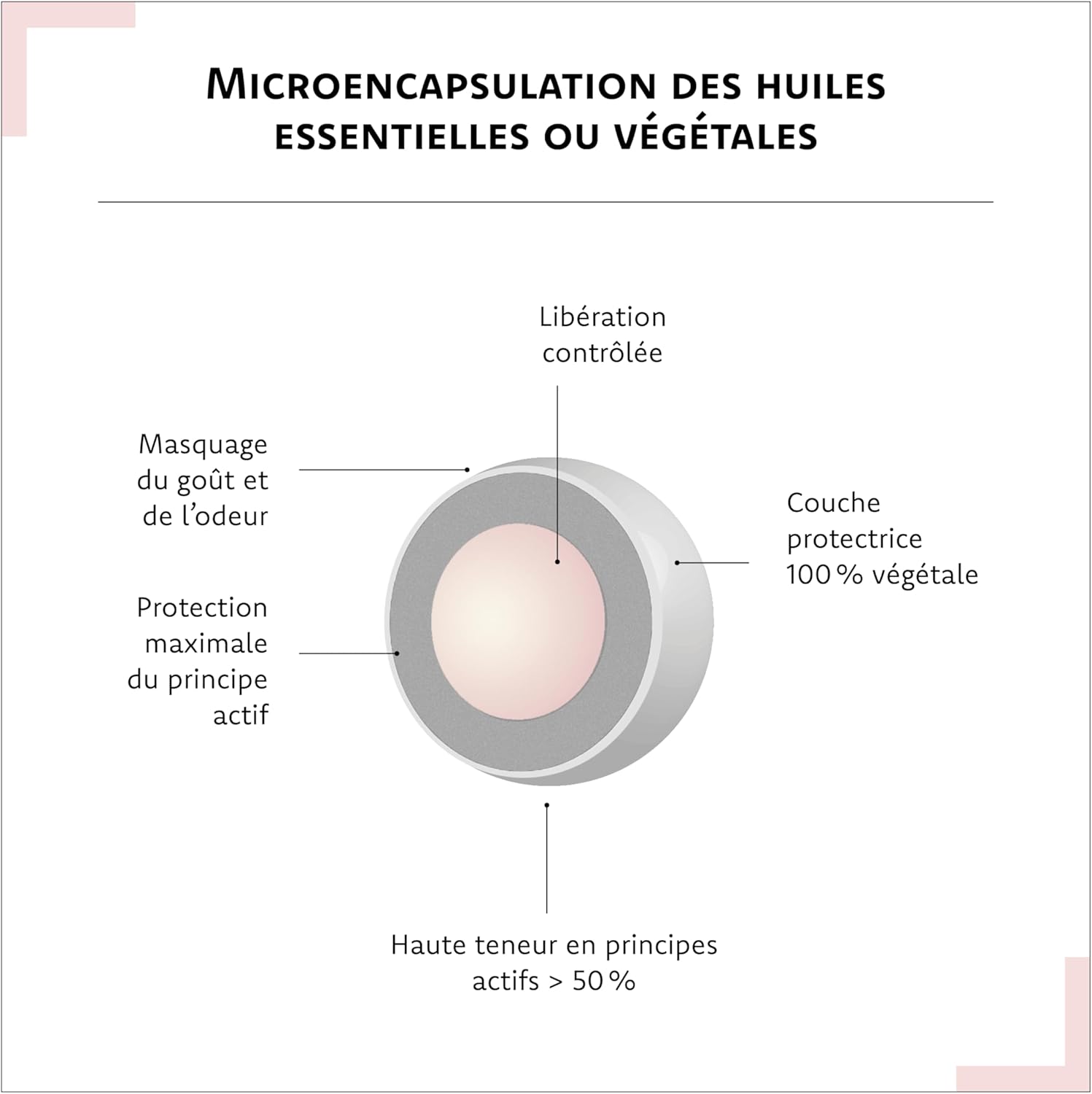 Dermactifs - Anti-Ageing, Antioxidant, Luminous Complexion Food Supplement - Hyaluronic Acid, Borage Oil, Zinc, Vitamin C - Aragan - 30 Capsules - Image 8