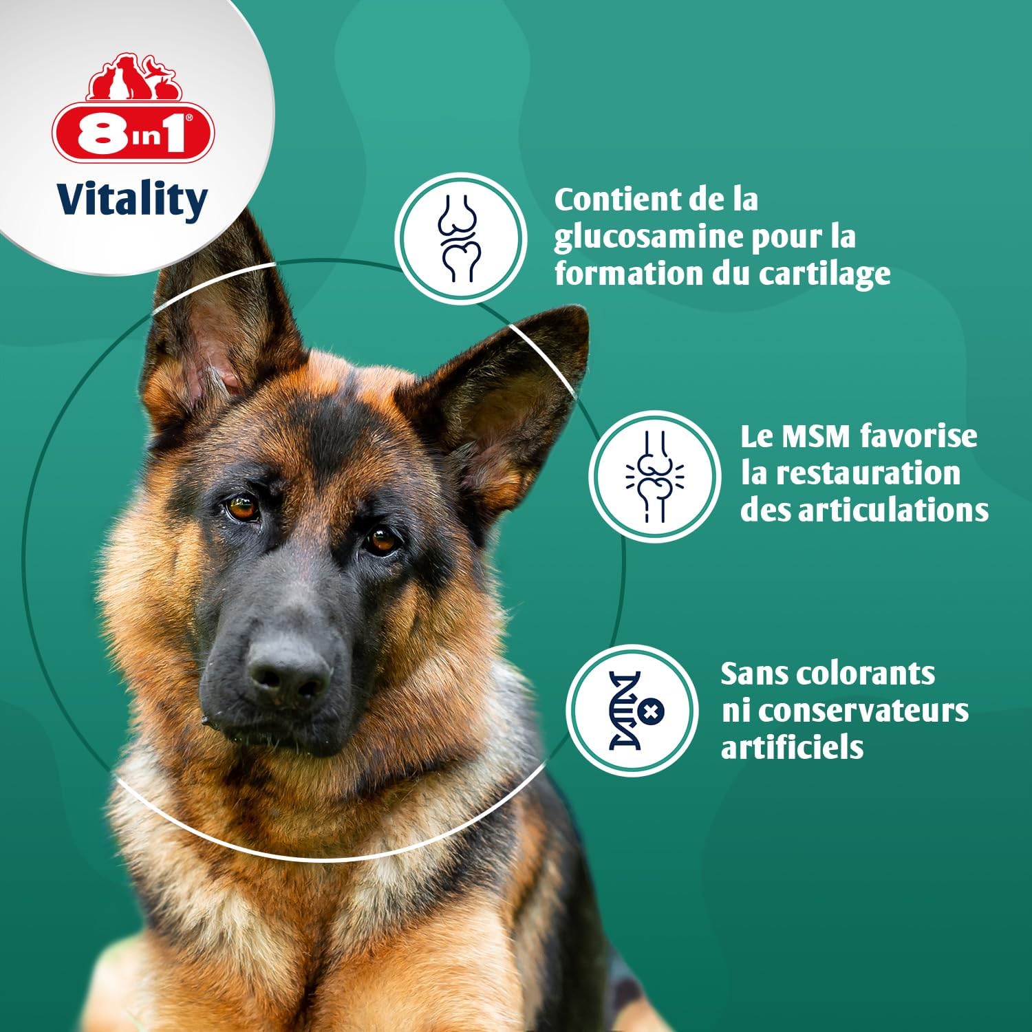 8in1 Glucosamine Tablets with MSM – Food Supplement for Adult and Senior Dogs, 1 Box (55 Tablets) - Image 4