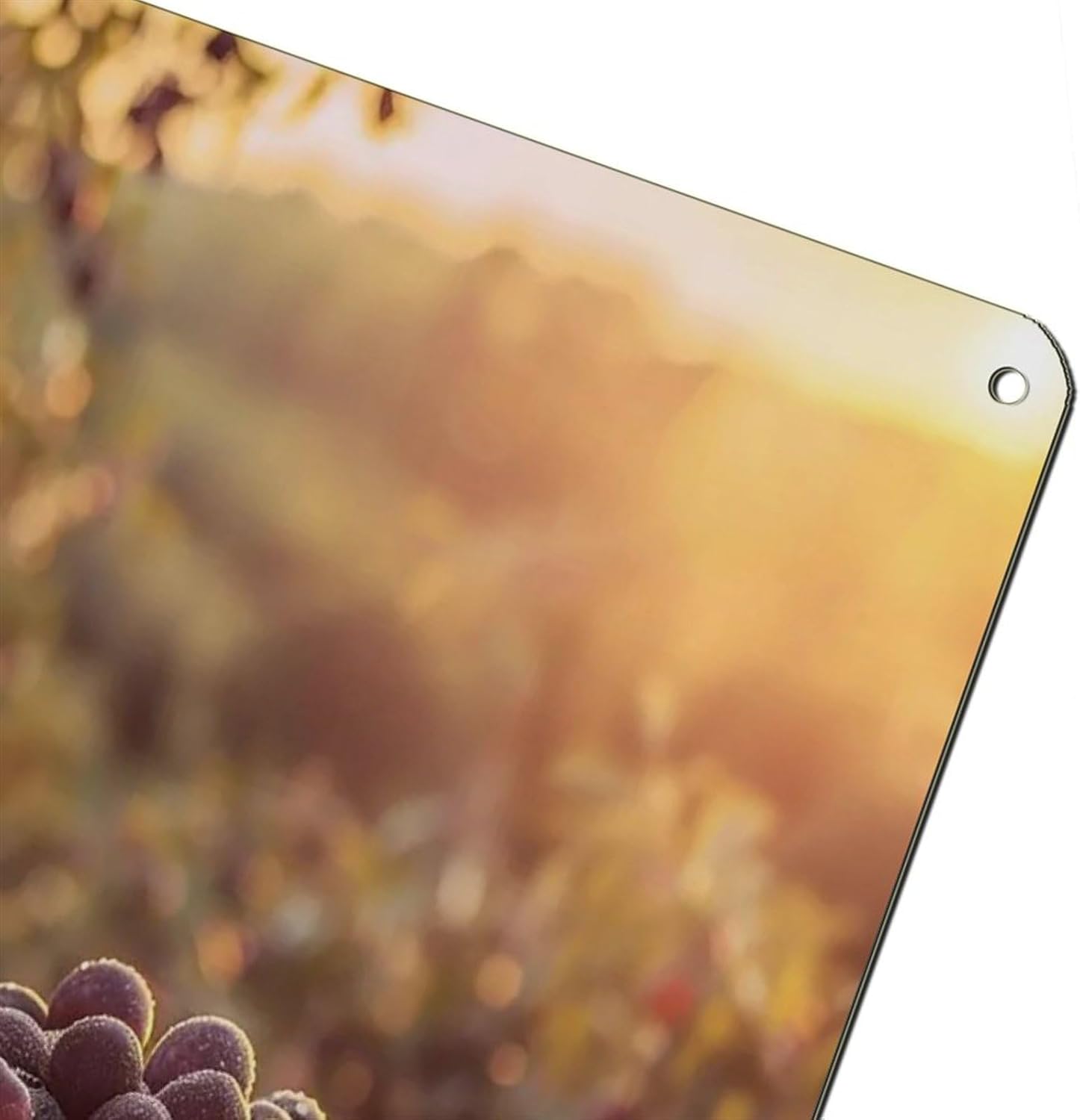 Açaí Poster en métal vintage pour pub, club, café, bar, maison, décoration murale rétro 20 x 30 cm - Image 6