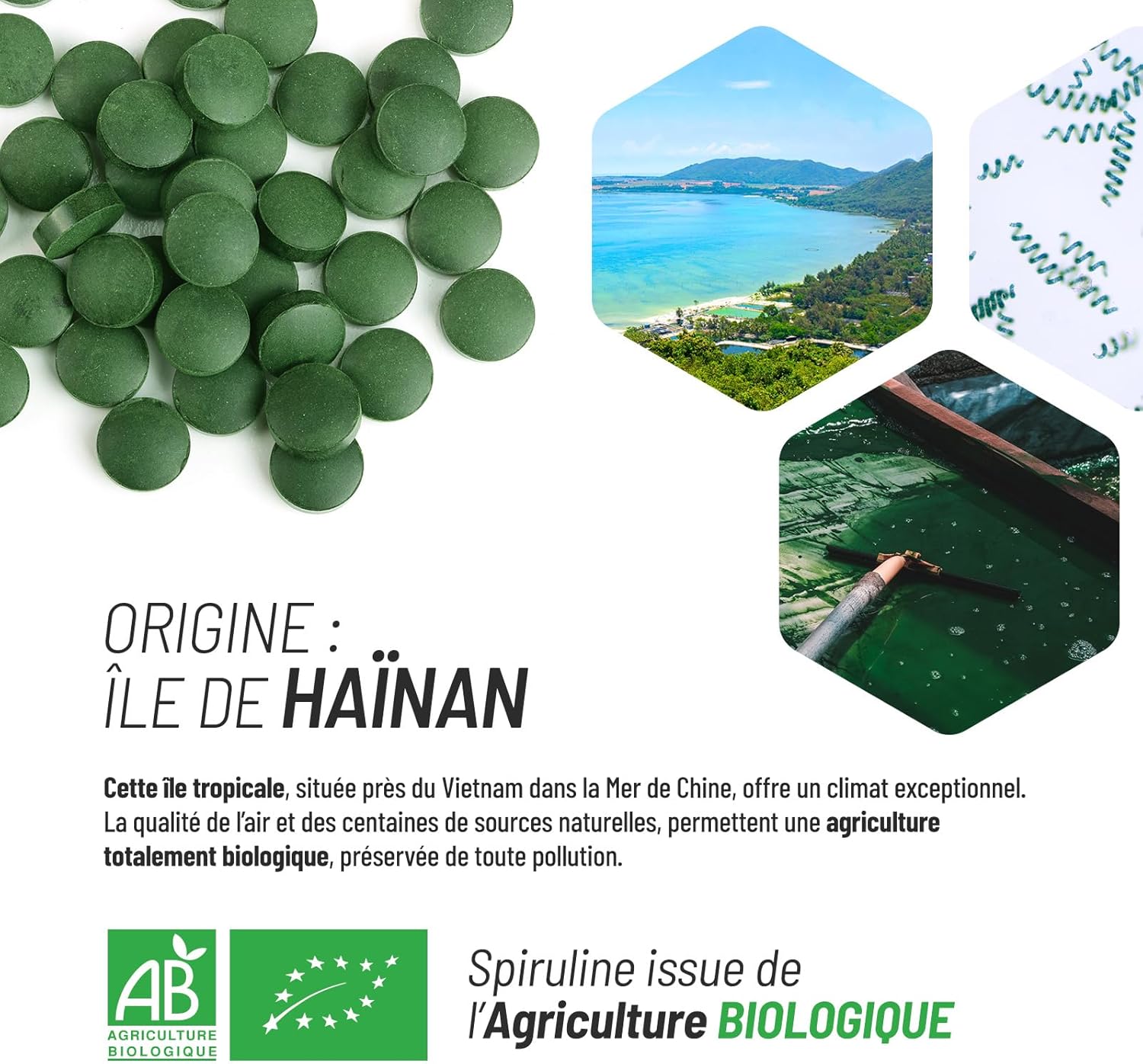 Spirulina/Spirulina Bio 500mg - 300 Tablets - Energy Metabolism - Immune System - Image 6