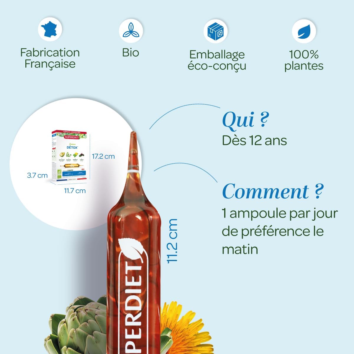 SUPERDIET – DISSENLIT BIO 2000 mg – Renal drainage & elimination – Made in France – Organic dandelion from France – 20 ampoules of 10 ml - Image 6