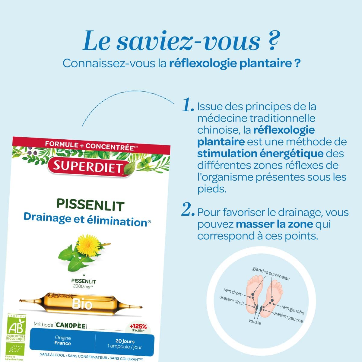 SUPERDIET – DISSENLIT BIO 2000 mg – Renal drainage & elimination – Made in France – Organic dandelion from France – 20 ampoules of 10 ml - Image 7