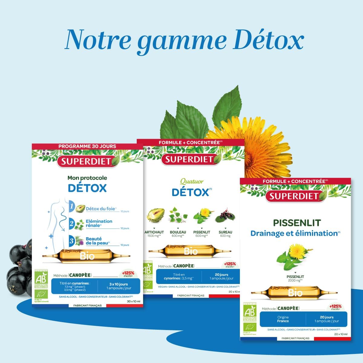 SUPERDIET – DISSENLIT BIO 2000 mg – Renal drainage & elimination – Made in France – Organic dandelion from France – 20 ampoules of 10 ml - Image 8
