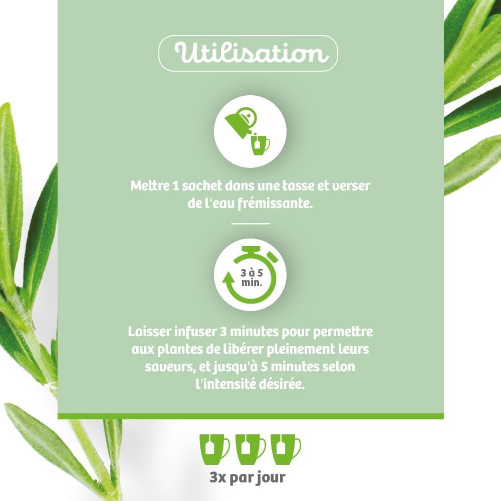 Vitavea BioNutrisanté - Organic Liver and Intestine Infusion 100% Natural - 20 Sachets - Bloating - Rosemary, Green Anise, Peppermint, Licorice, Chicory - Vitavea - Image 4