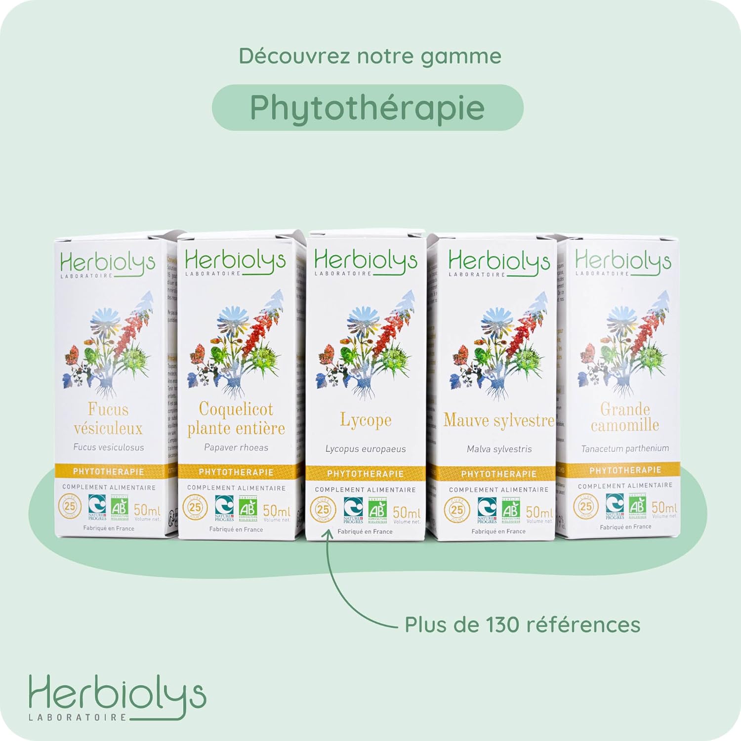 Herbiolys | Organic Fresh Plant Extract | Milk Thistle (Silybum marianum) | Detox | Organic Herbal Medicine | 50 ml - Image 3