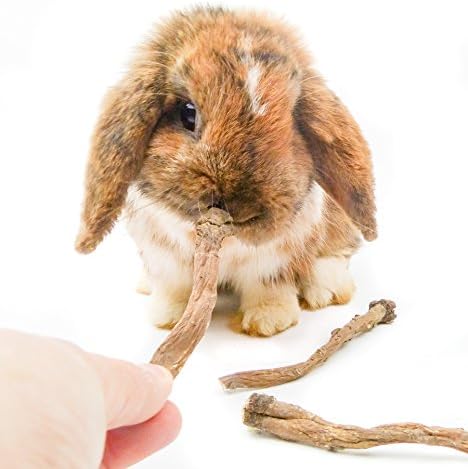 grünhopper Dandelion root 150g rabbit snack - Image 4