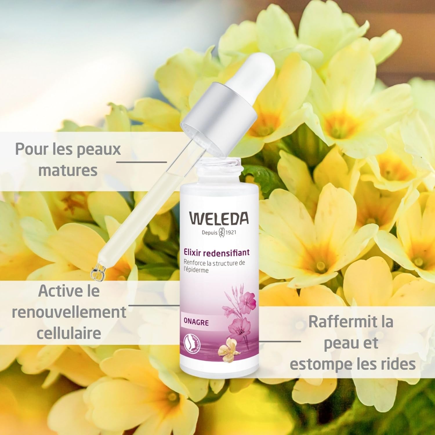 WELEDA Organic Evening Primrose Strengthening Concentrate: Natural Cosmetic Structuring Moisturizing Serum, Reactivating Cell Renewal, Intensive Care to Reduce Wrinkles (1 x 30ml) - Image 7