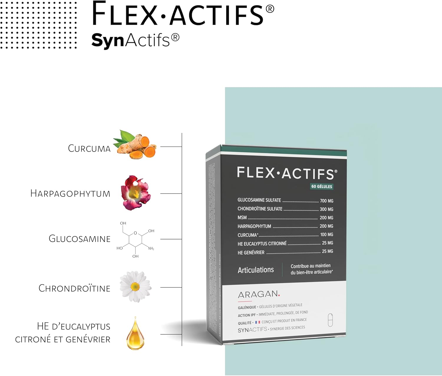 Flexactif - Joint Wellness - Glucosamine, Harpagophytum, MSM, Turmeric, Eucalyptus & Zinc Essential Oil - Aragan - 60 Capsules - Image 3