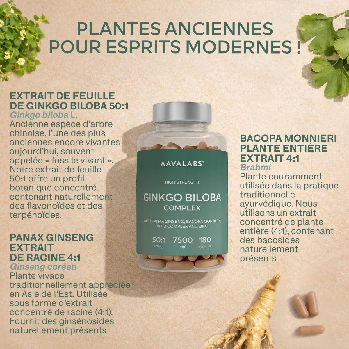 Ginkgo Biloba 7500mg 50:1 with Panax Red Korean Ginseng, Bacopa Monnieri, Zinc, Vitamin B Complex - Powerful Nootropic Blood Circulation, Memory and Concentration, Energy - 180 Capsules - Image 5