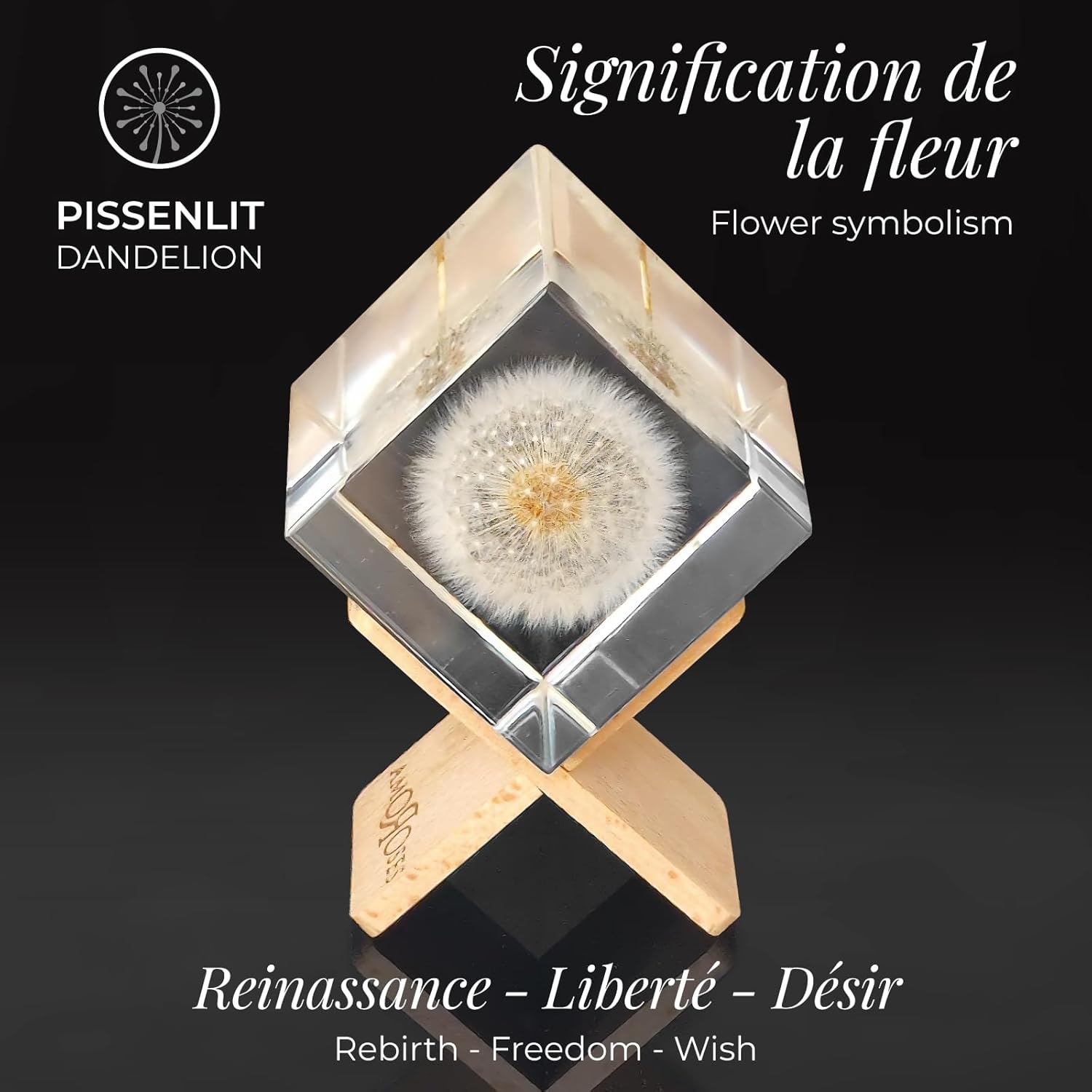 Amoroses WISH Real Dandelion Preserved in Clear Resin Cube, Head Flower in Elegant Packaging, Original Gift Idea for Decoration, Express a Wish - Image 5