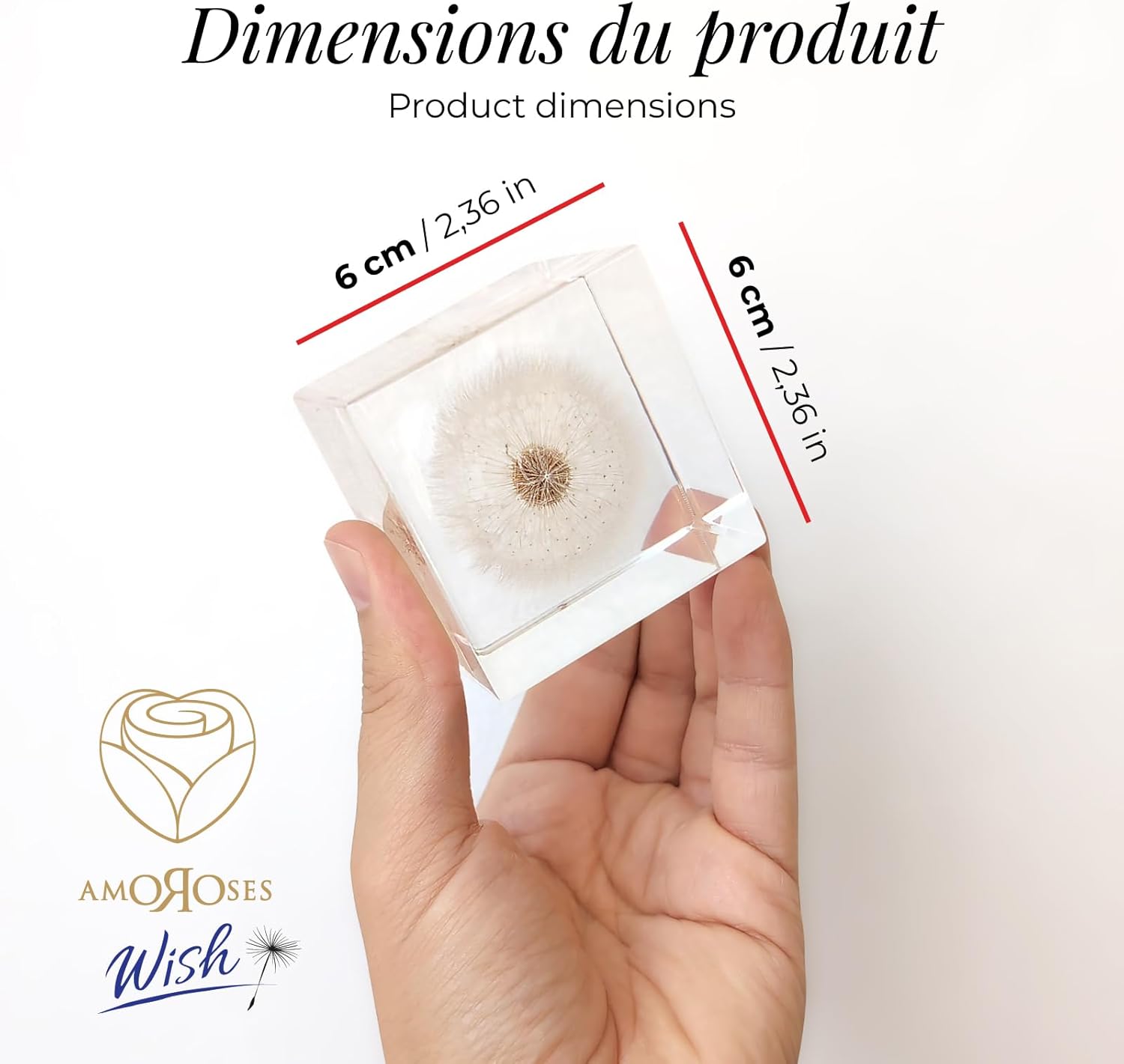 Amoroses WISH Real Dandelion Preserved in Clear Resin Cube, Head Flower in Elegant Packaging, Original Gift Idea for Decoration, Express a Wish - Image 6