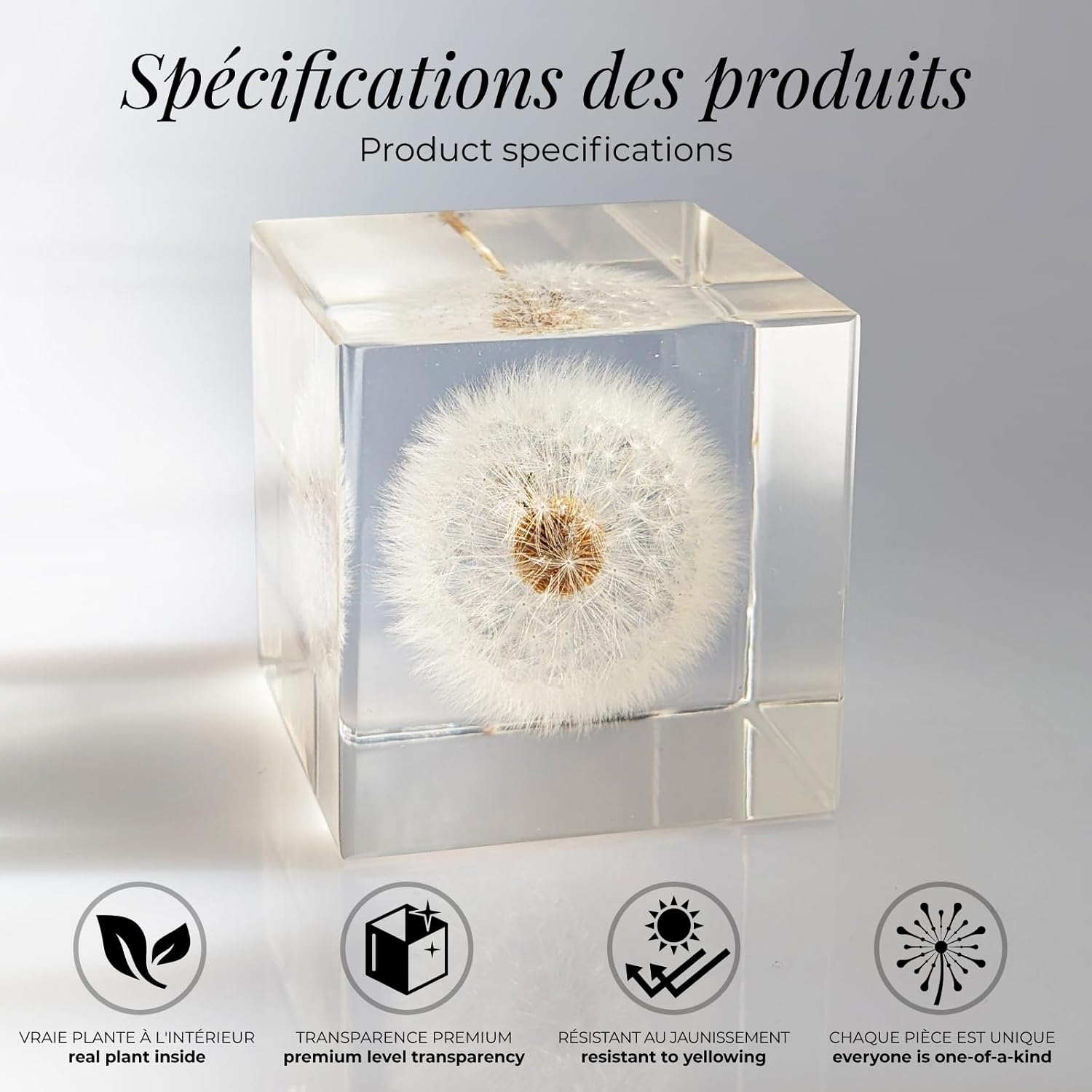 Amoroses WISH Real Dandelion Preserved in Clear Resin Cube, Head Flower in Elegant Packaging, Original Gift Idea for Decoration, Express a Wish - Image 8