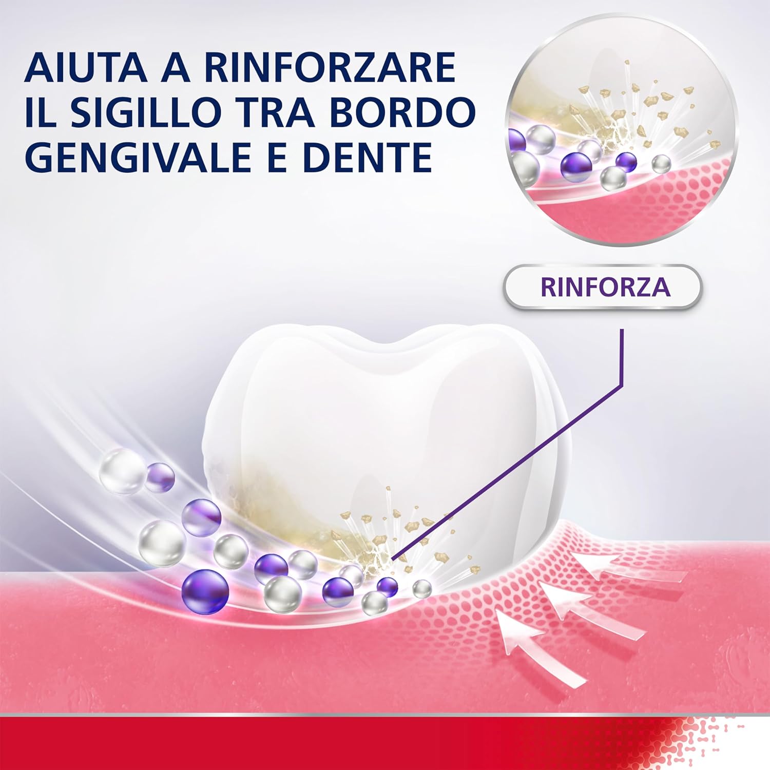 Parodontax Strong and protected gums, a daily toothpaste with hyaluronic acid, strengthens the seal between the gum edge and tooth for long-lasting gum protection, 75 ml of - Image 3