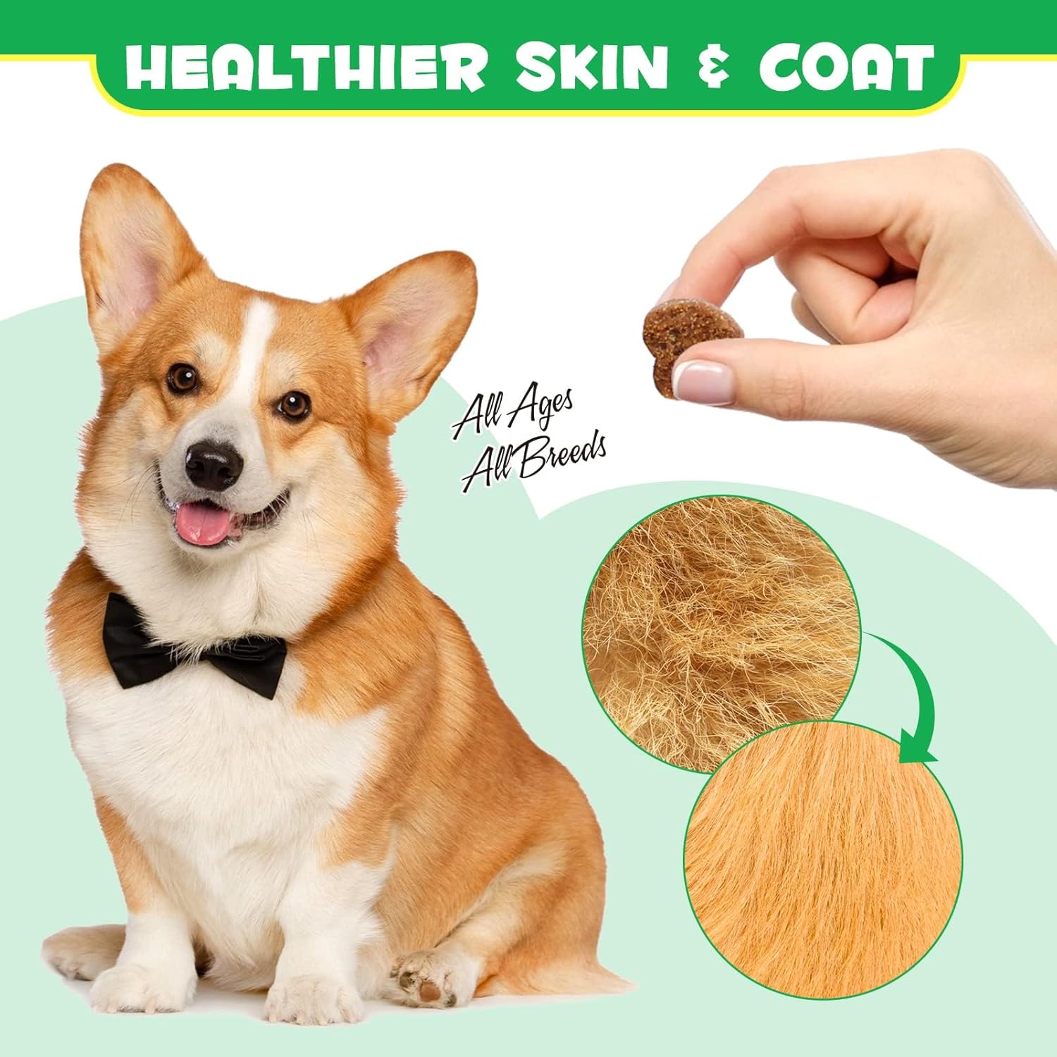 Probiotic Dogs, 120 Bites, Supports Gut and Digestive Health, Immune Functioning, As well as Skin and Coat Health - Image 3