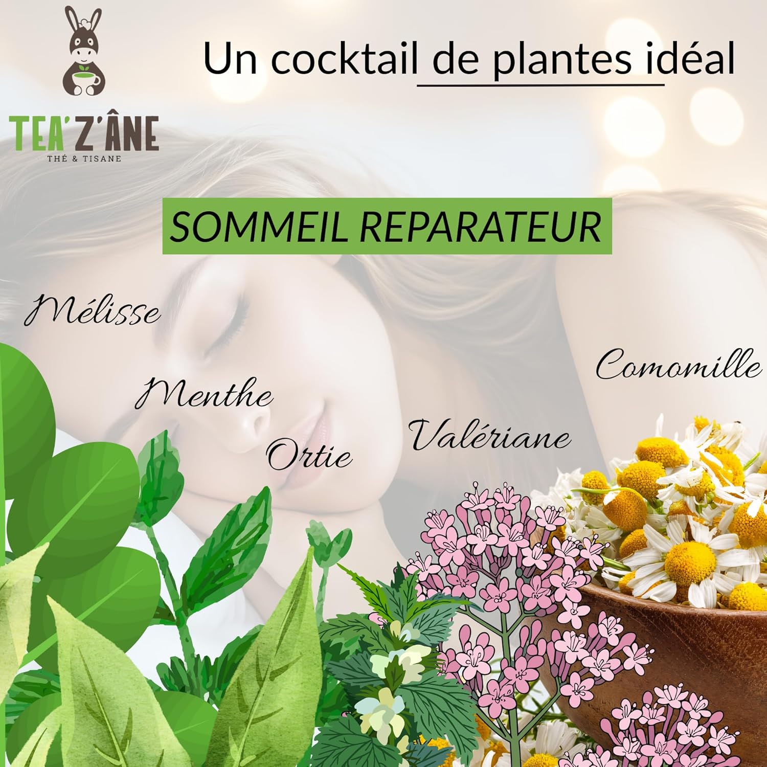 Sweet Night Infusion | Melissa, Chamomile, Valerian, Mint & Nettle | Relaxation & Soothing Herbal Tea Loose 100g | Calm Night & Natural Sleep Infusion | Premium Plants | Tea'z'âne - Image 5