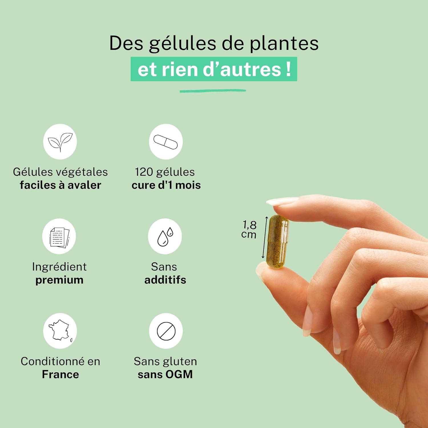 Rhodiola Extract 120 Capsules – 20 Day Cure | Helps Resist Stress and Nervous Exhaustion – Promotes Vitality and Mental Balance | Packaged in France, RUE DES PLANTES - Image 4